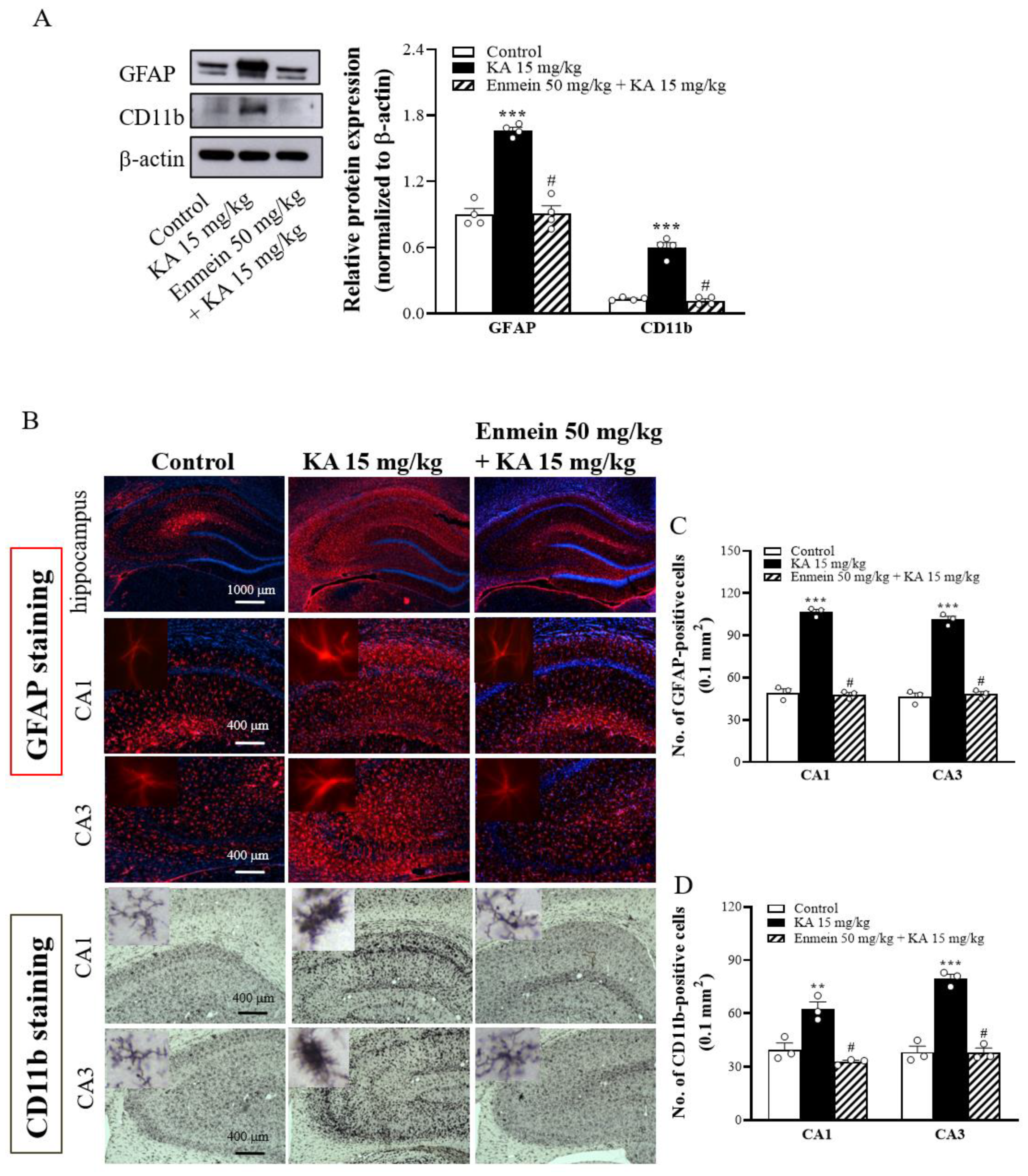 Ijms 22 12966 g008 550