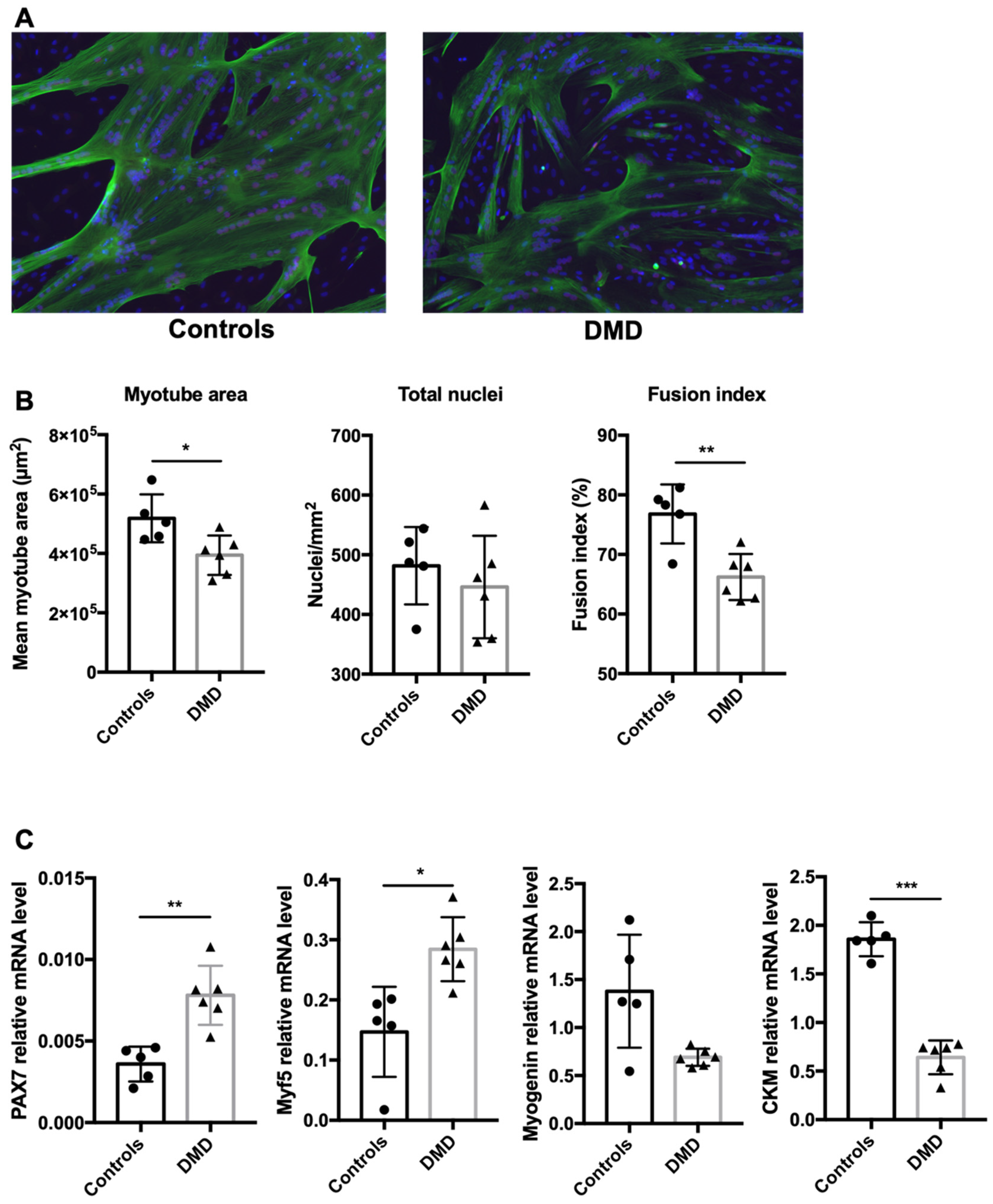 Ijms 22 12985 g001 550