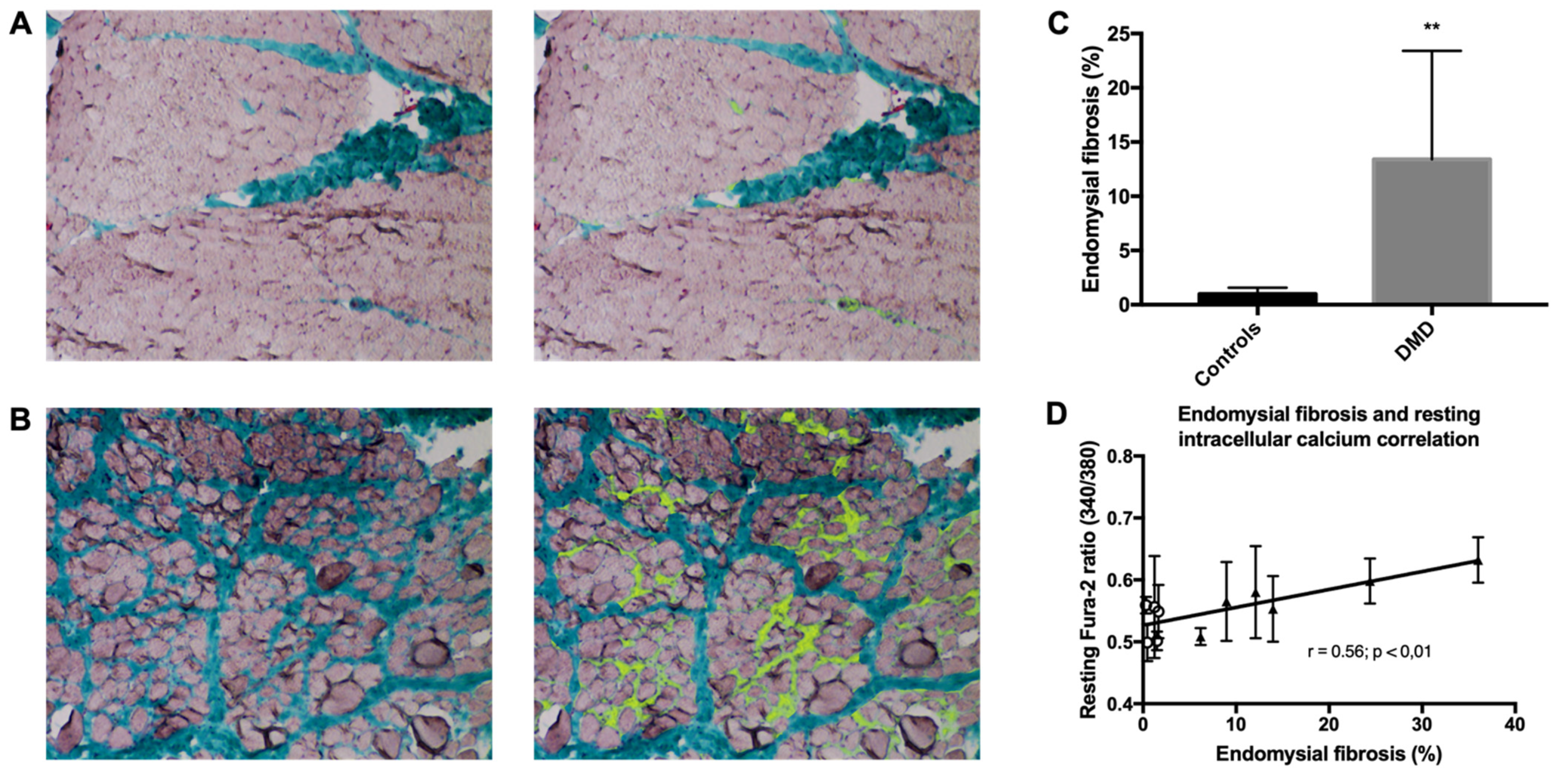 Ijms 22 12985 g005 550