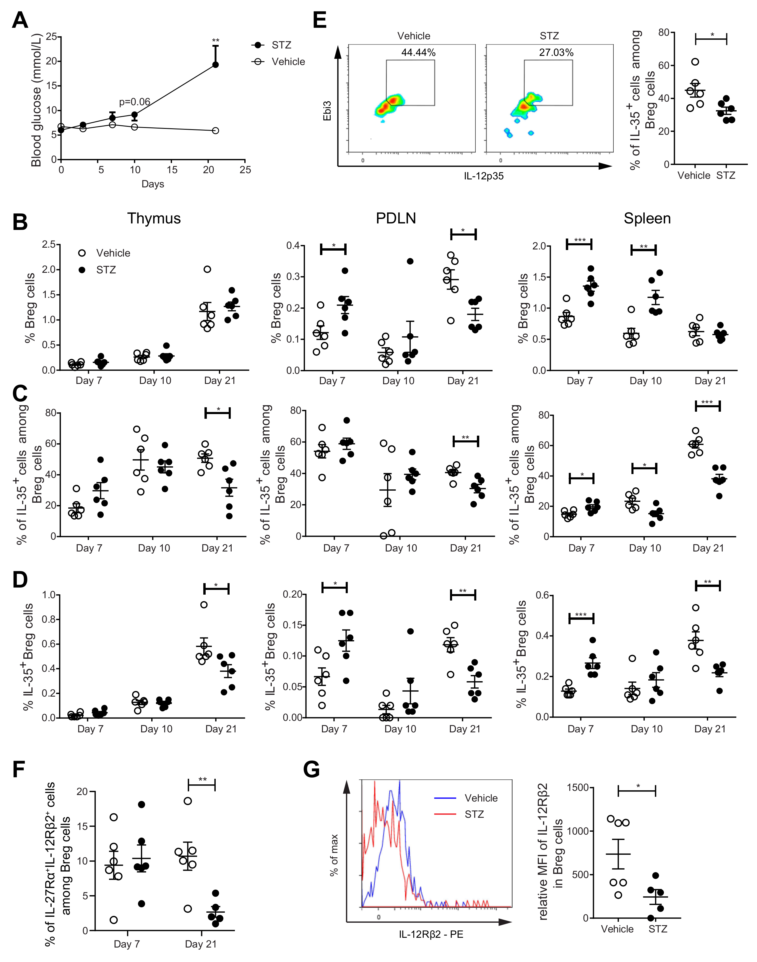 Ijms 22 12988 g003 550