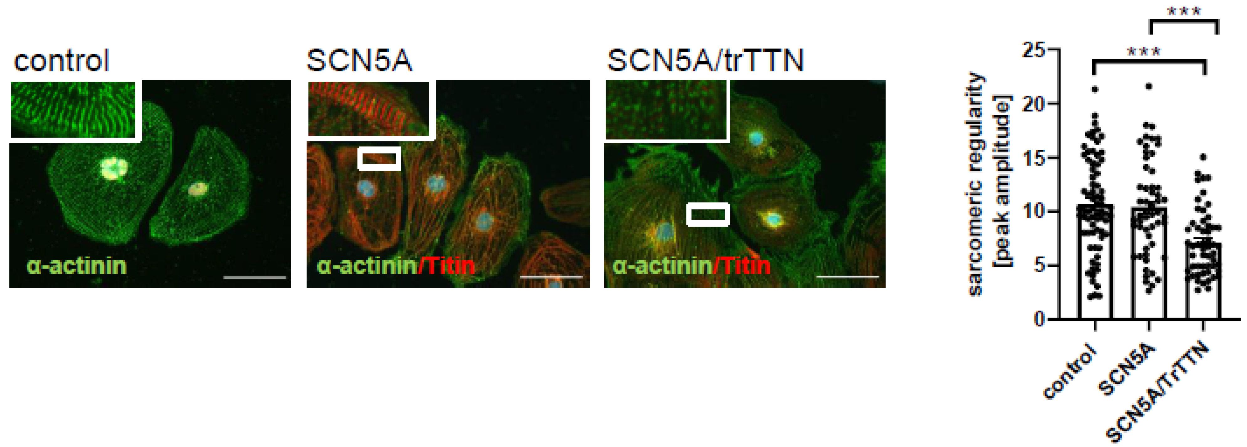 Ijms 22 12990 g004 Ijms 22 12990 g004