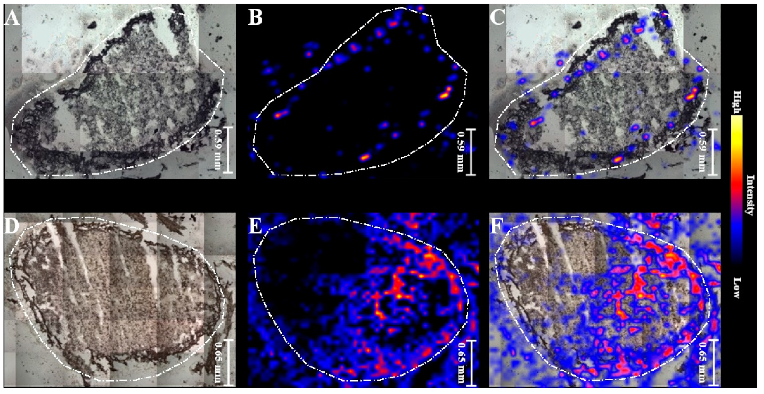 Ijms 22 12991 g005 550