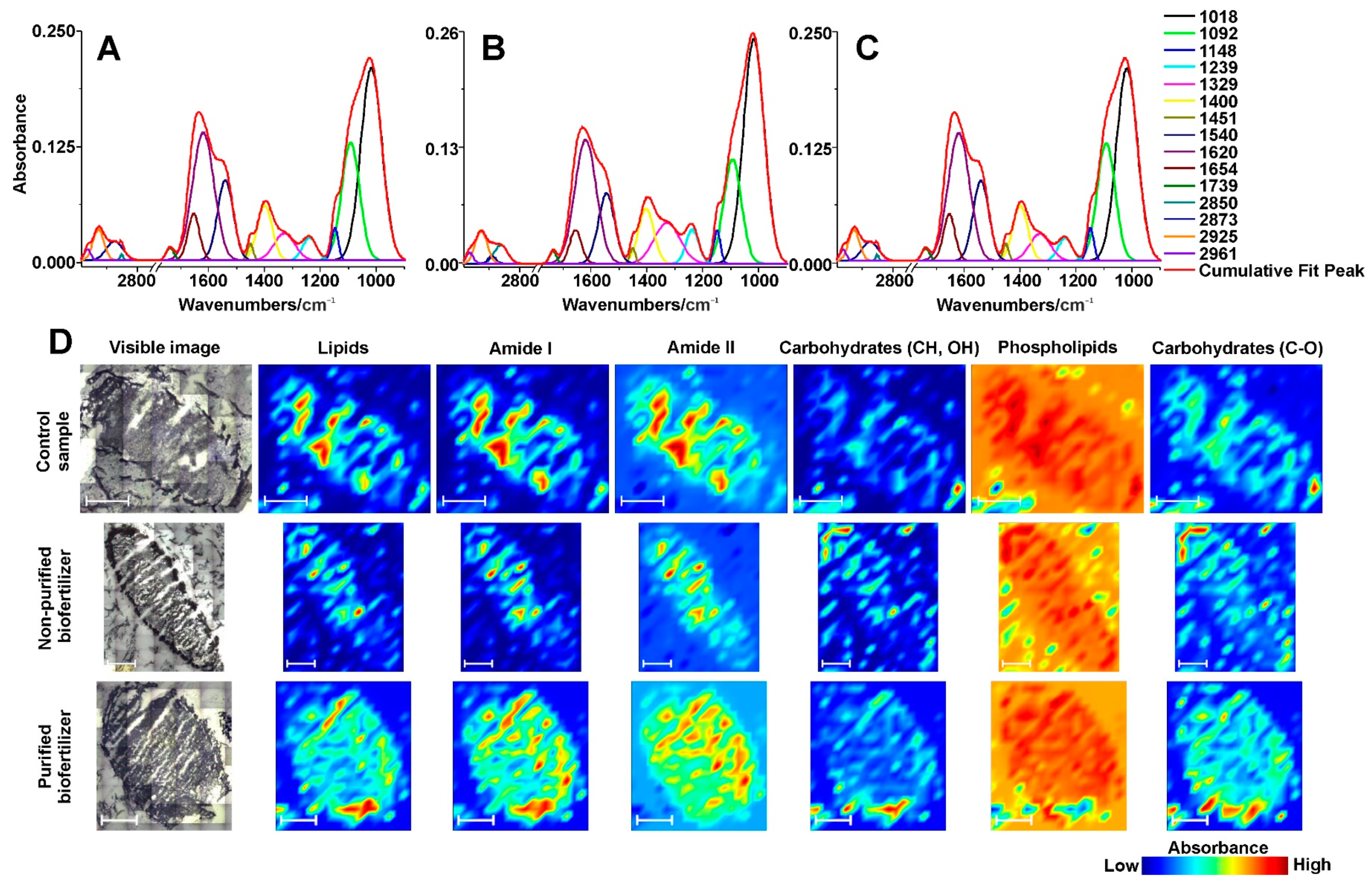 Ijms Free Full Text Multimodal Spectroscopic Imaging Of Pea Root Nodules To Assess The Nitrogen Fixation In The Presence Of Biofertilizer Based On Nod Factors Html