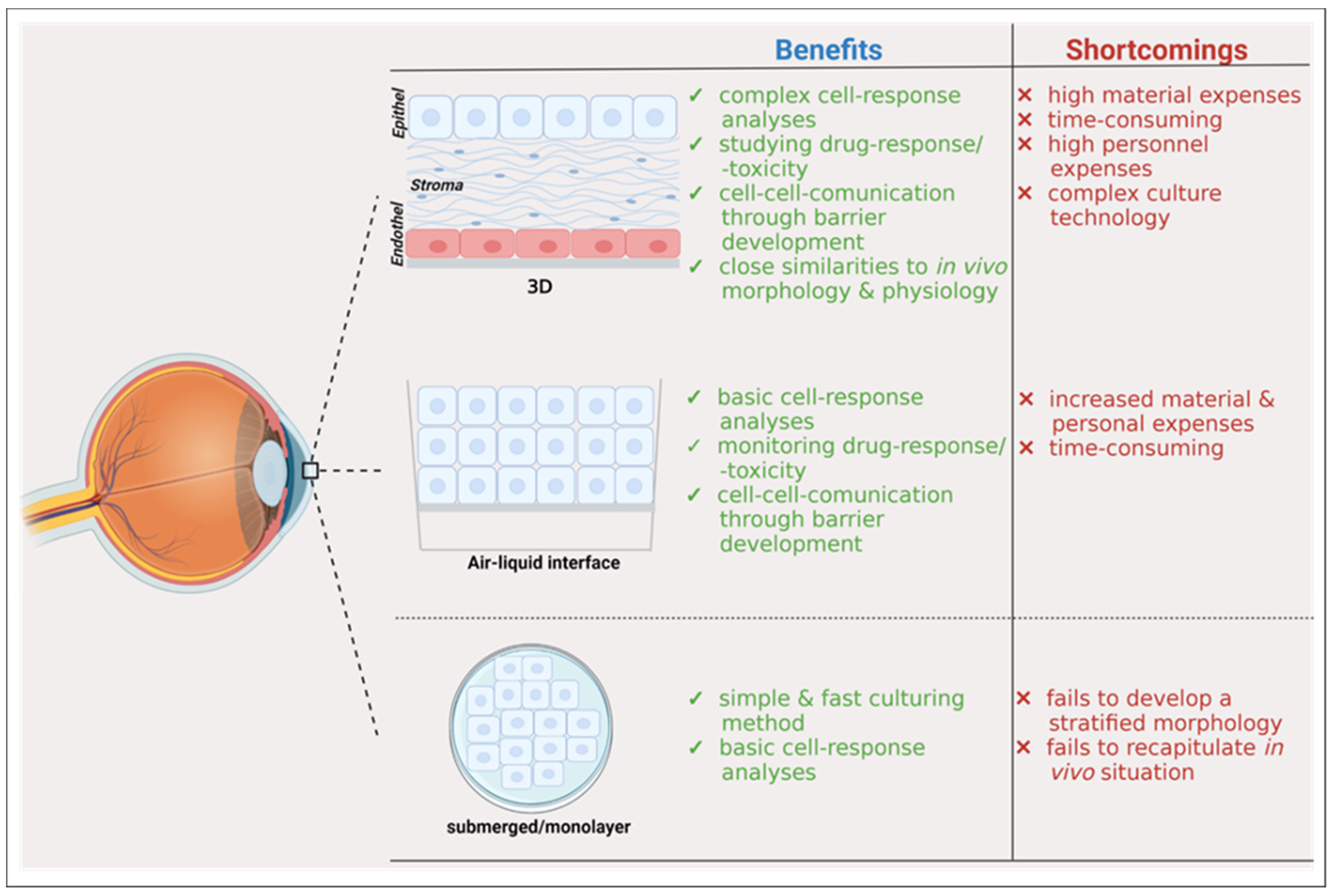 Ijms 22 12994 g002 Ijms 22 12994 g002