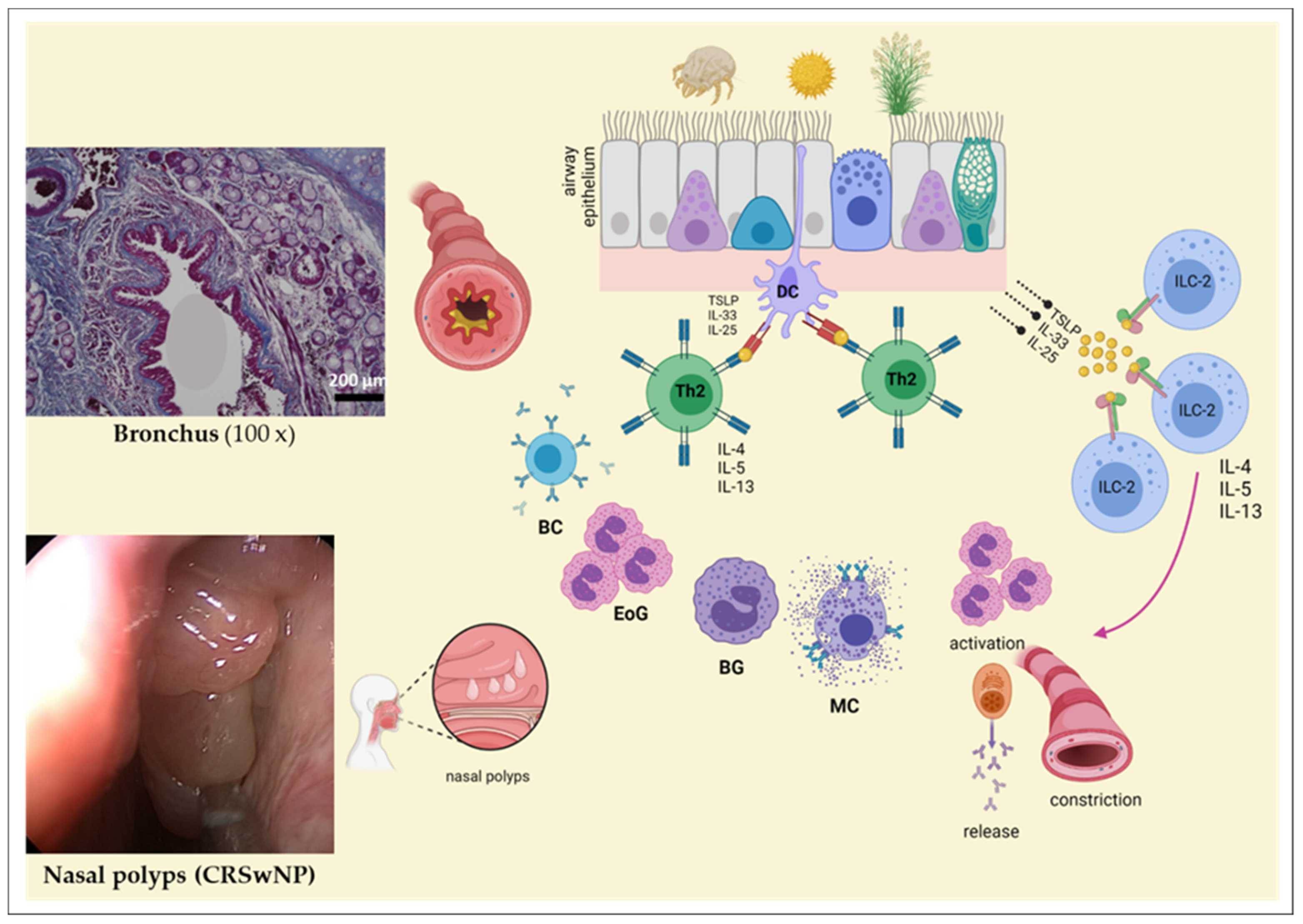 Ijms 22 12994 g005 Ijms 22 12994 g005