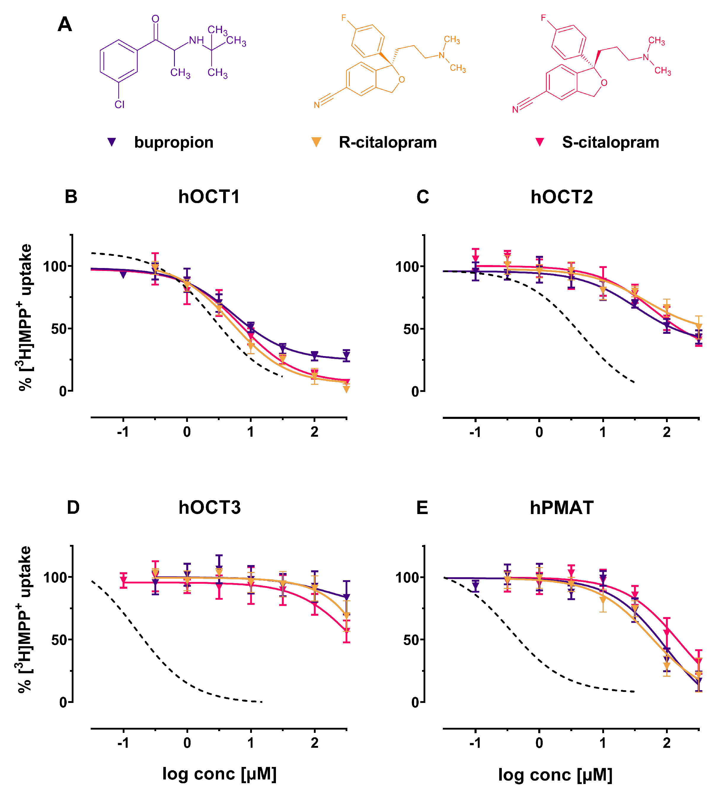 Ijms 22 12995 g002 Ijms 22 12995 g002