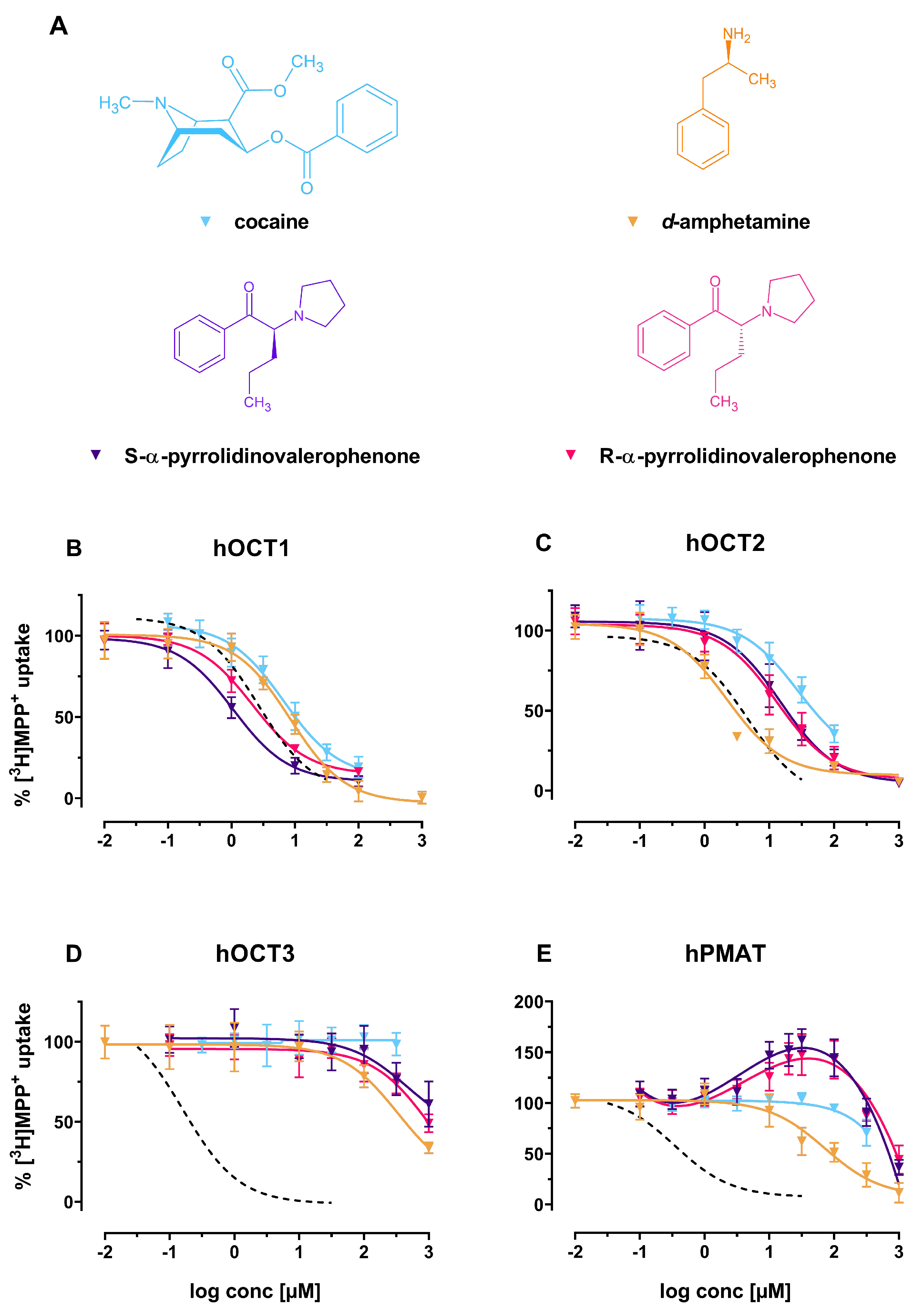 Ijms 22 12995 g004 Ijms 22 12995 g004