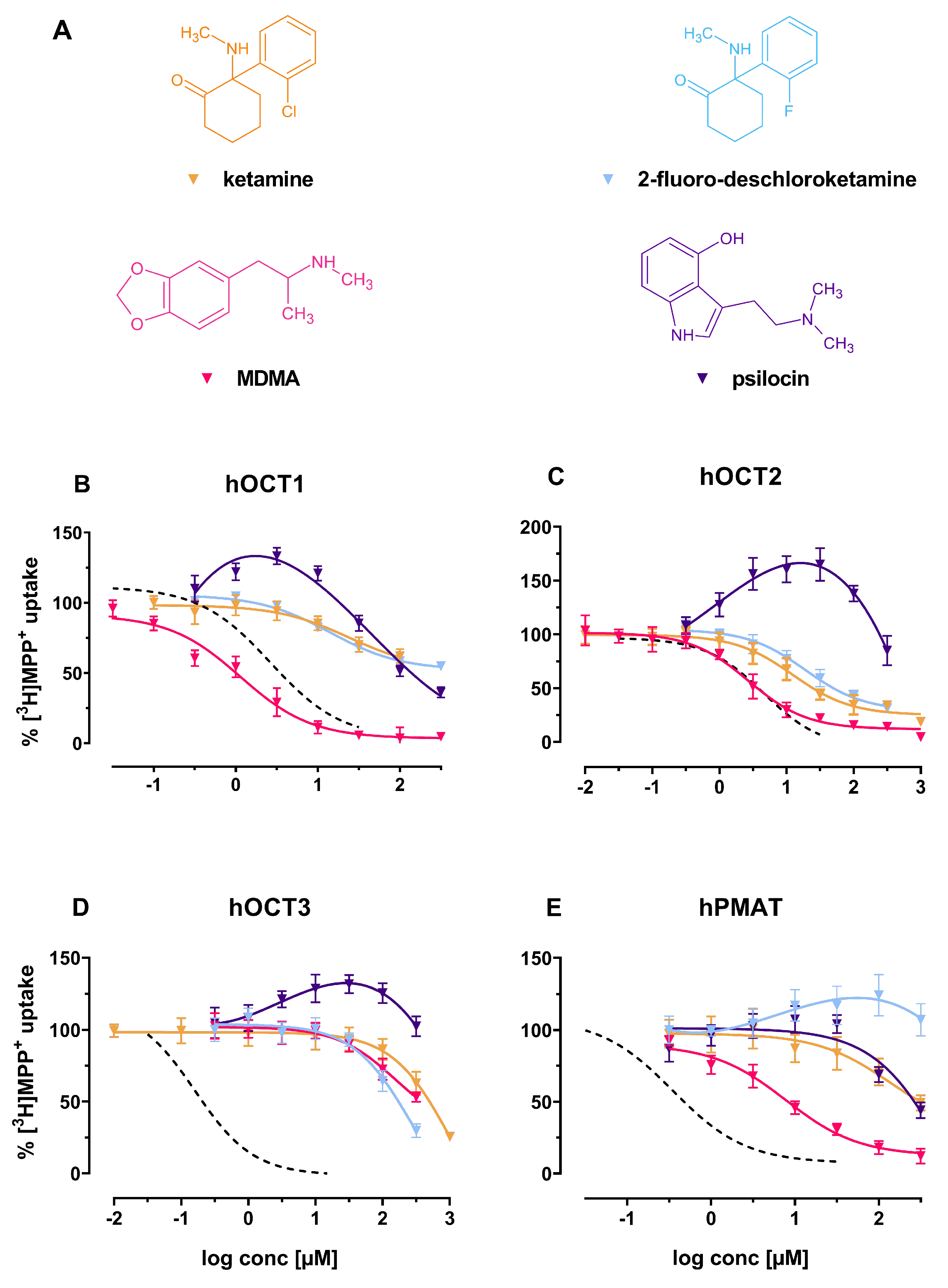 Ijms 22 12995 g005 Ijms 22 12995 g005