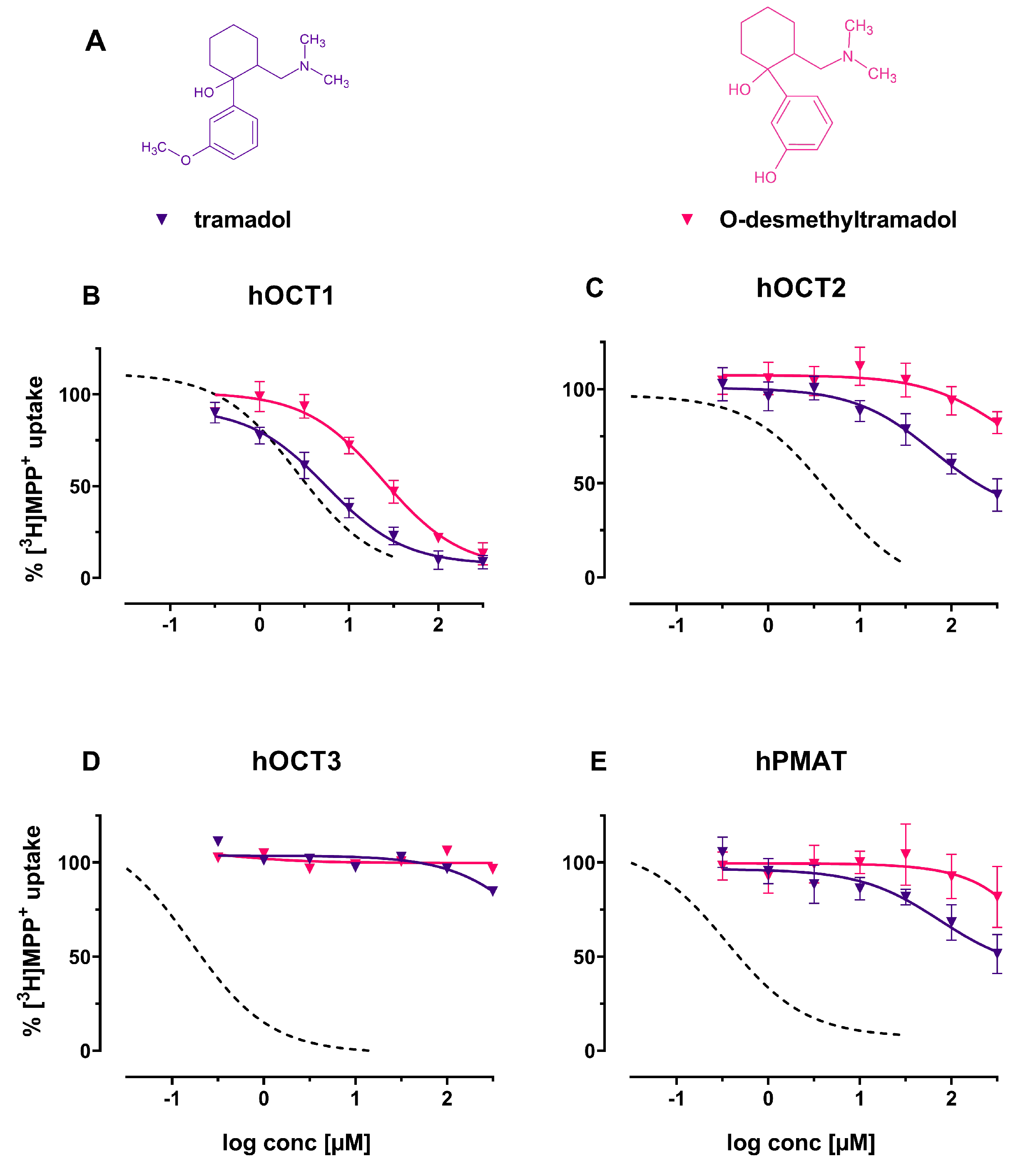 Ijms 22 12995 g006 Ijms 22 12995 g006