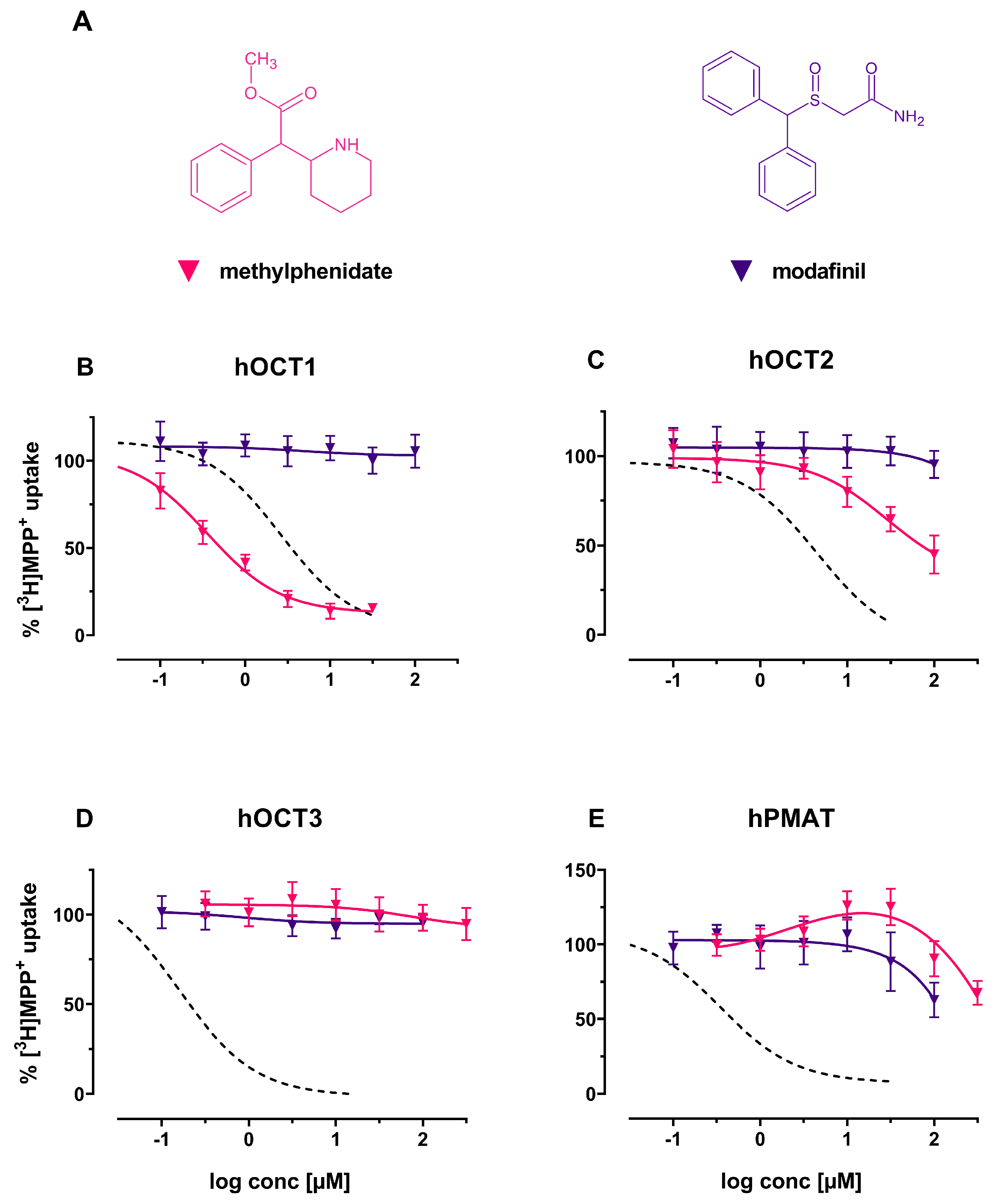 Ijms 22 12995 g007 Ijms 22 12995 g007
