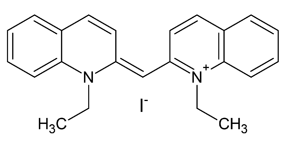 Ijms 22 12995 g008 Ijms 22 12995 g008