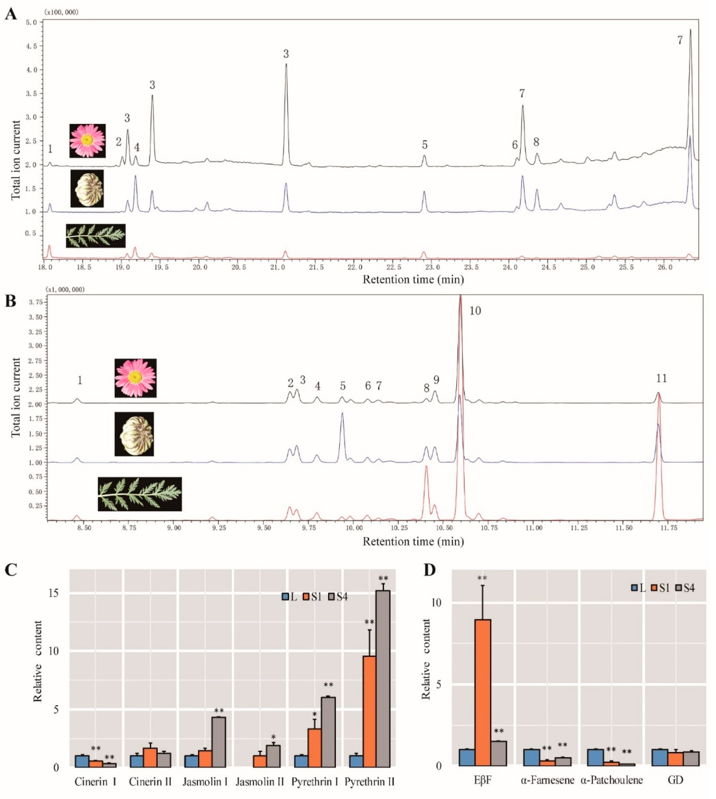 Ijms 22 13005 g007 550