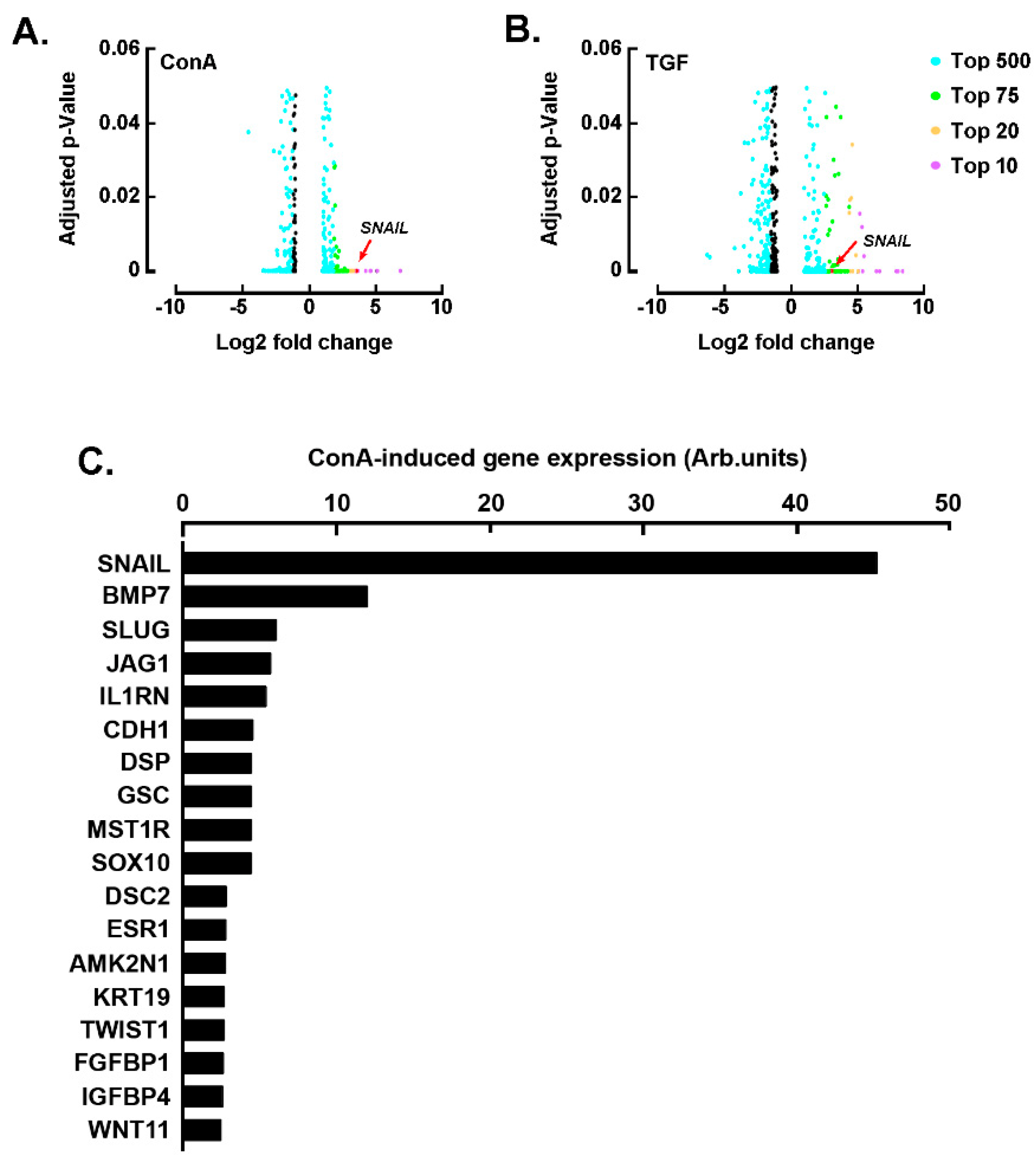Ijms 22 13006 g001 Ijms 22 13006 g001