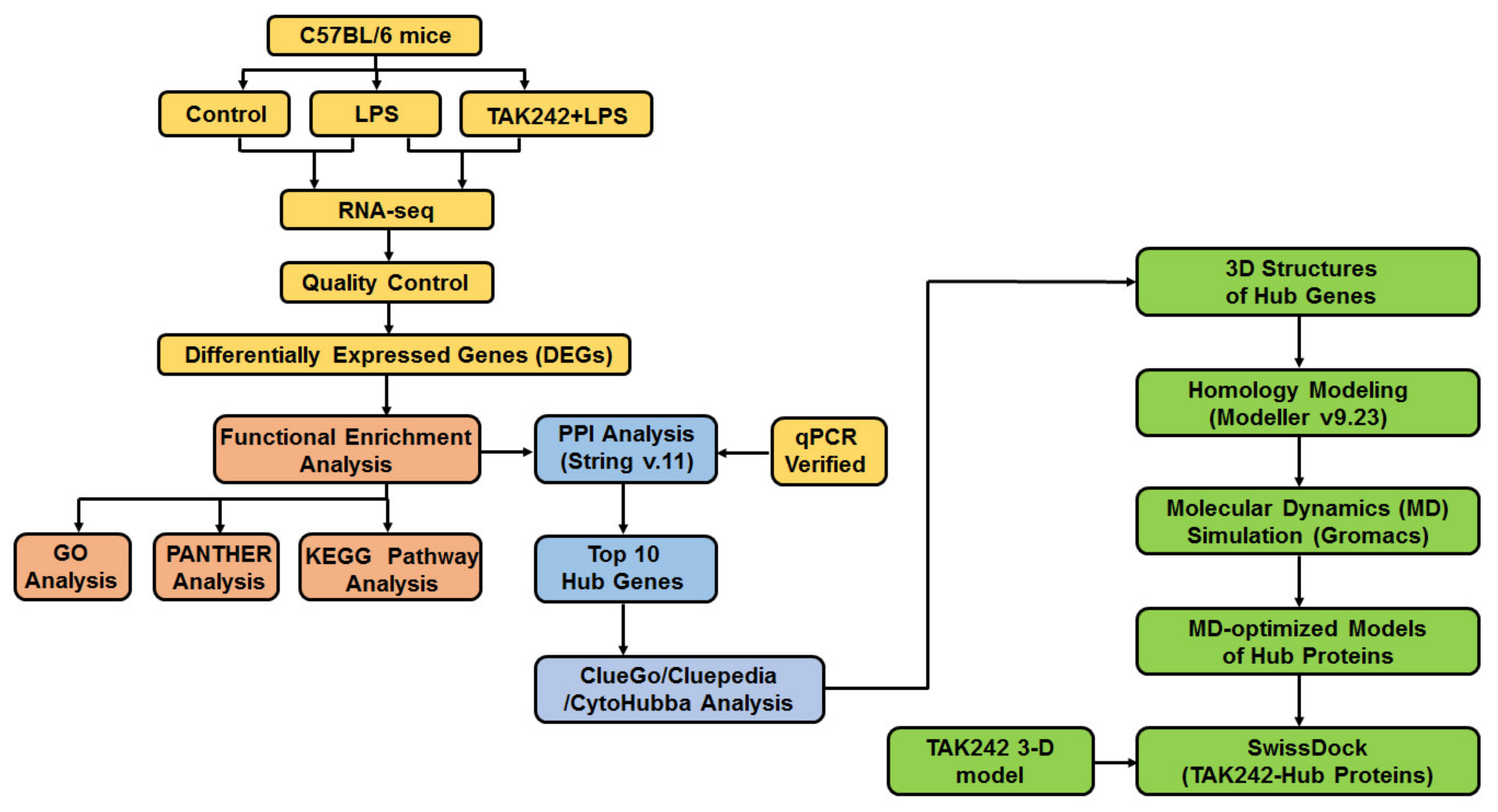 Ijms 22 13008 g001 550