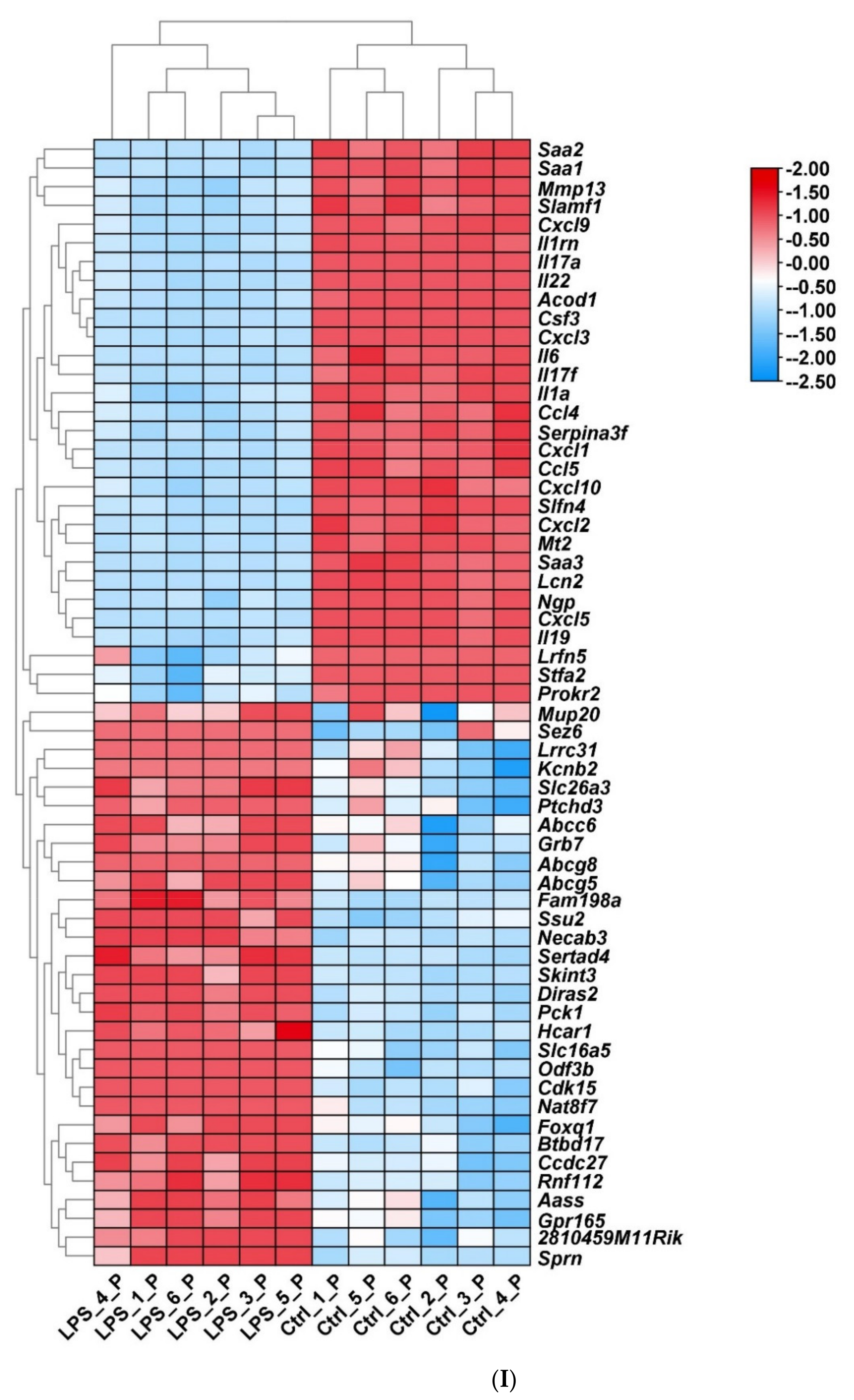 Ijms 22 13008 g003f 550