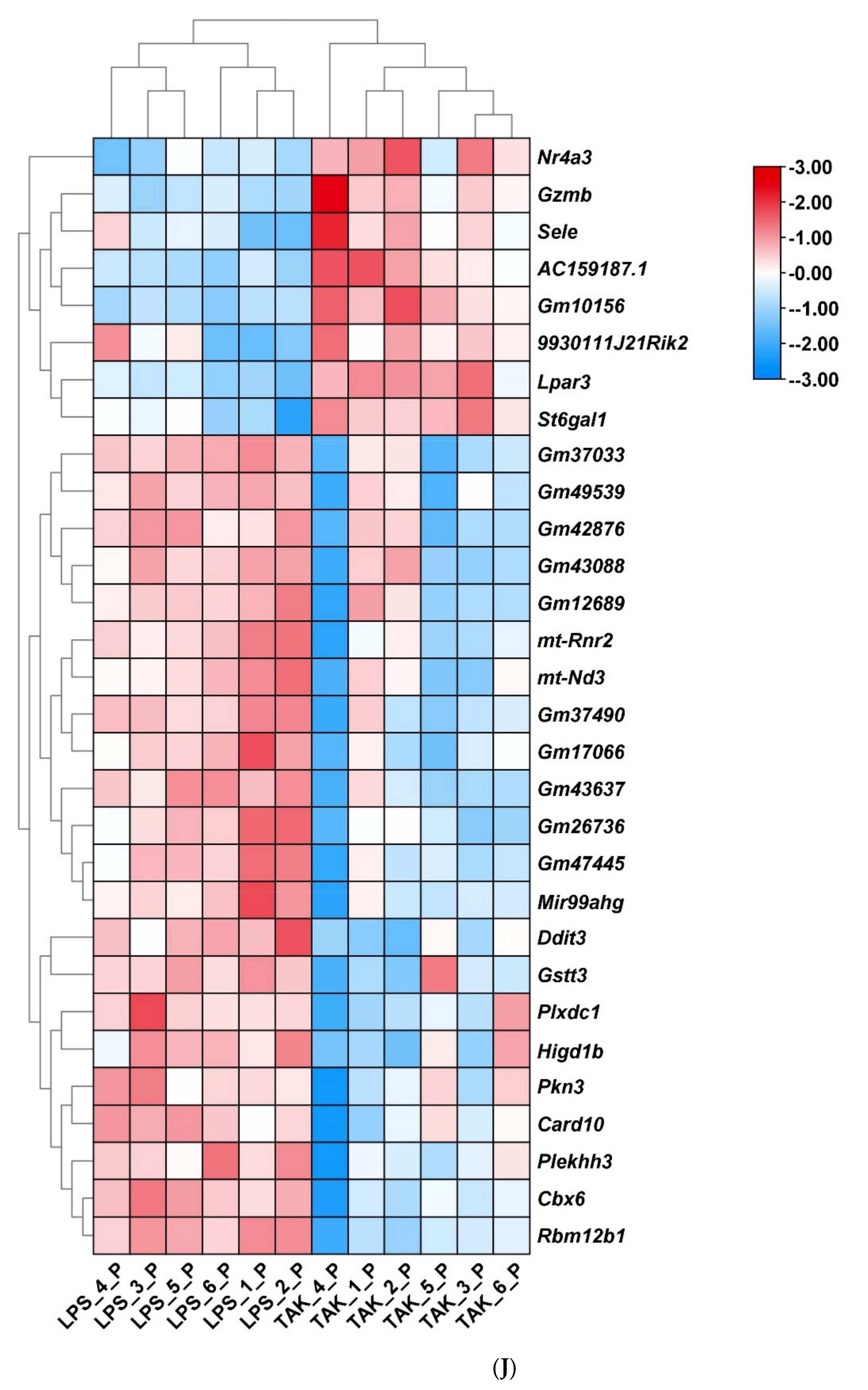 Ijms 22 13008 g003g 550