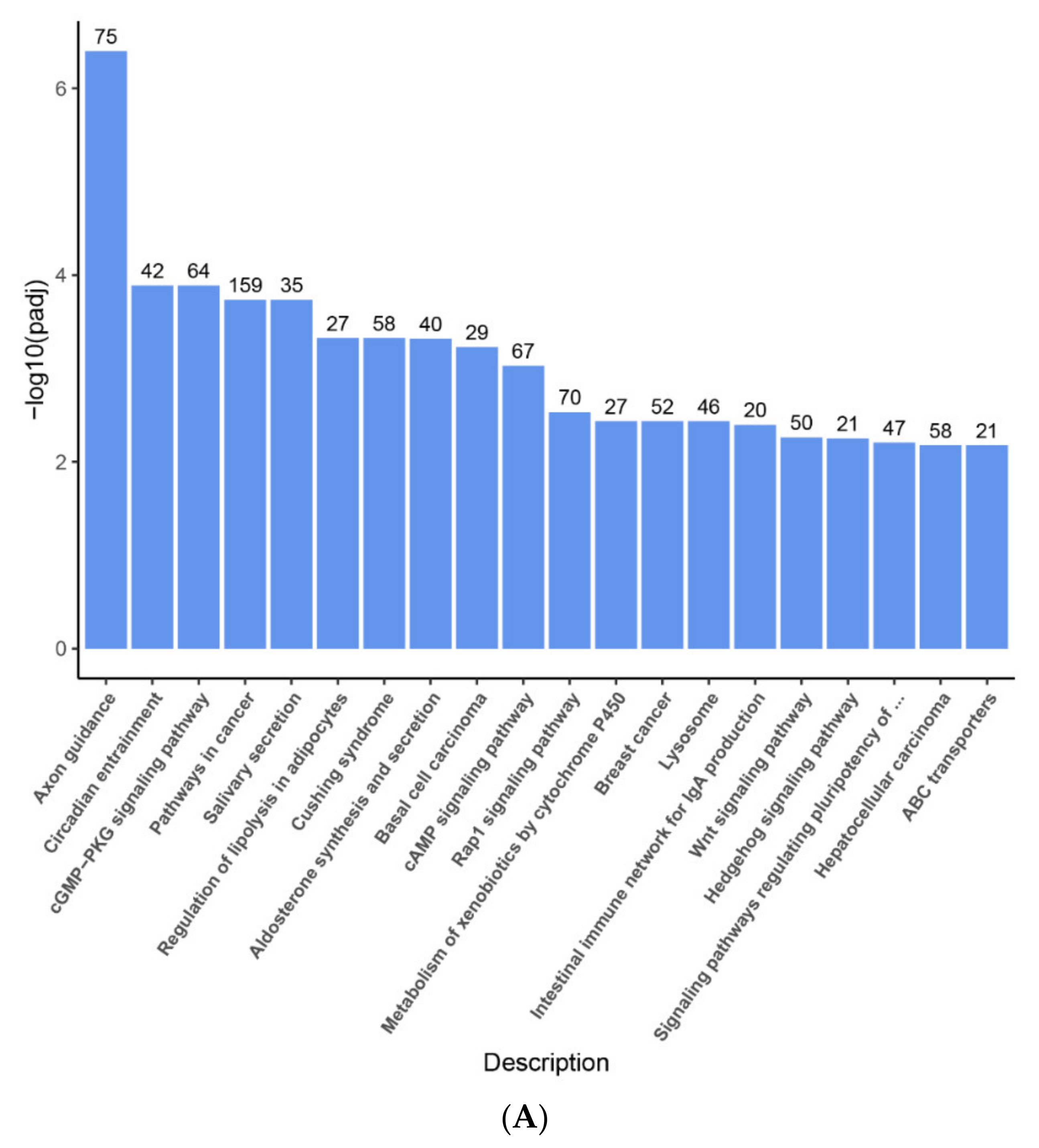 Ijms 22 13008 g004a 550