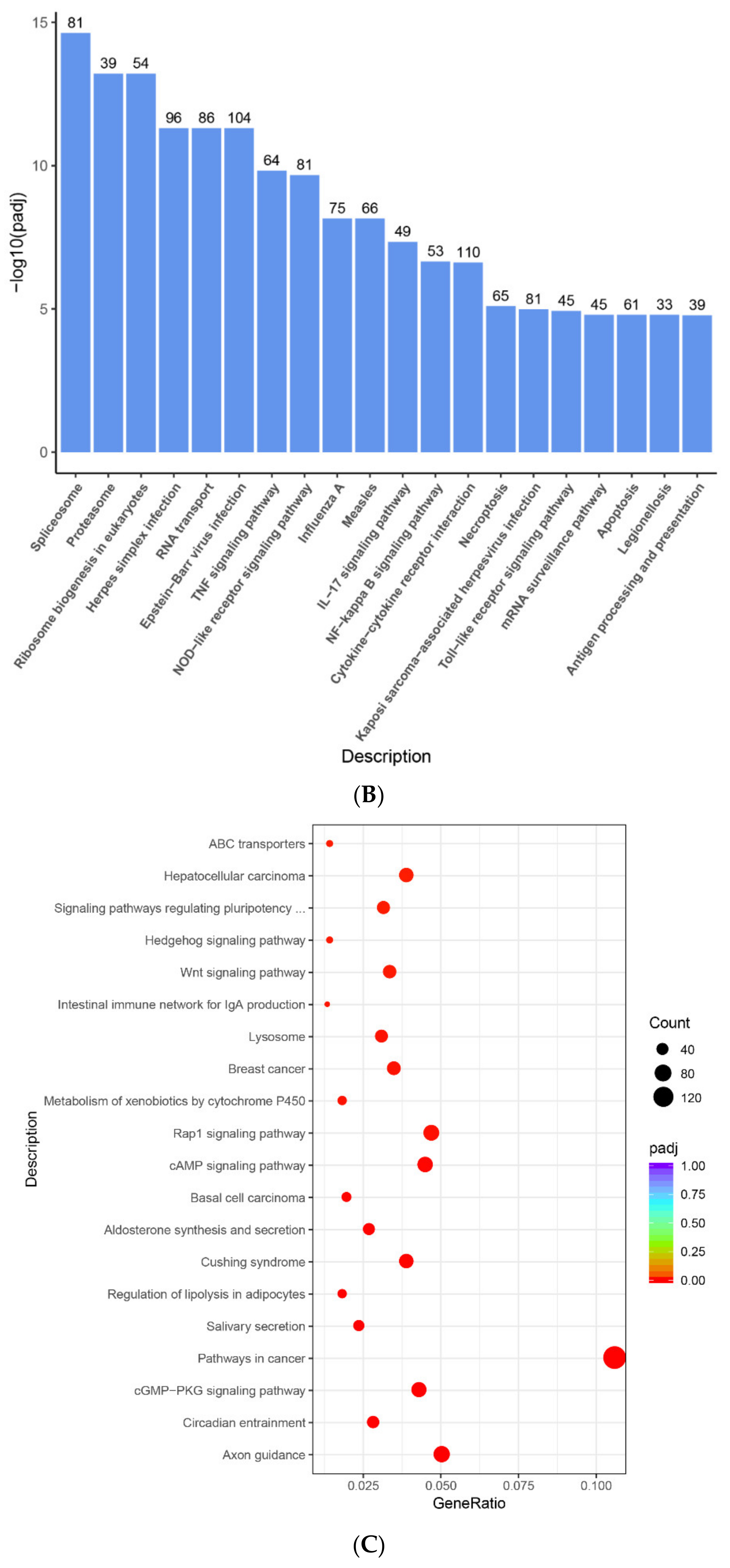 Ijms 22 13008 g004b 550