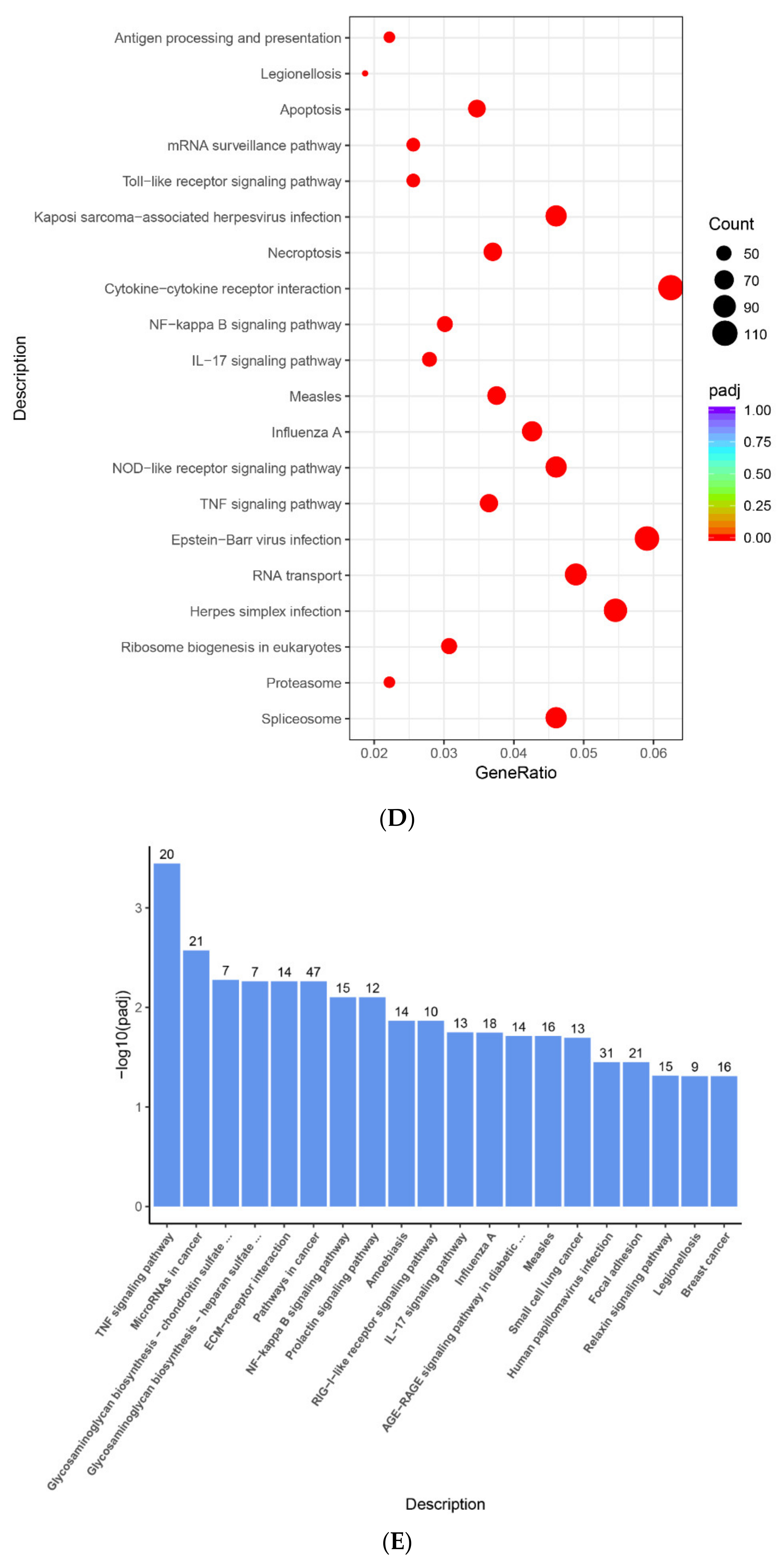 Ijms 22 13008 g004c 550