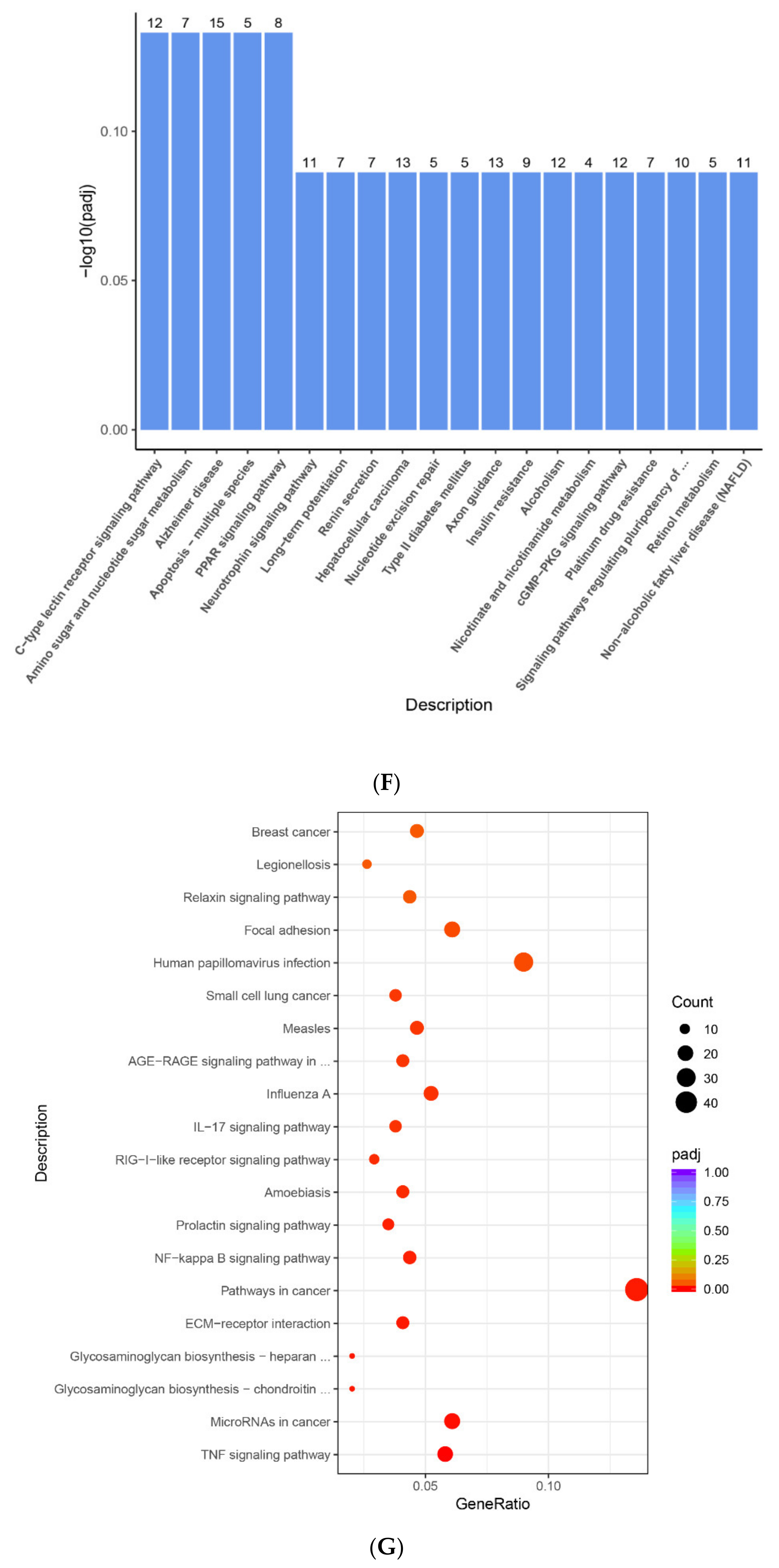 Ijms 22 13008 g004d 550