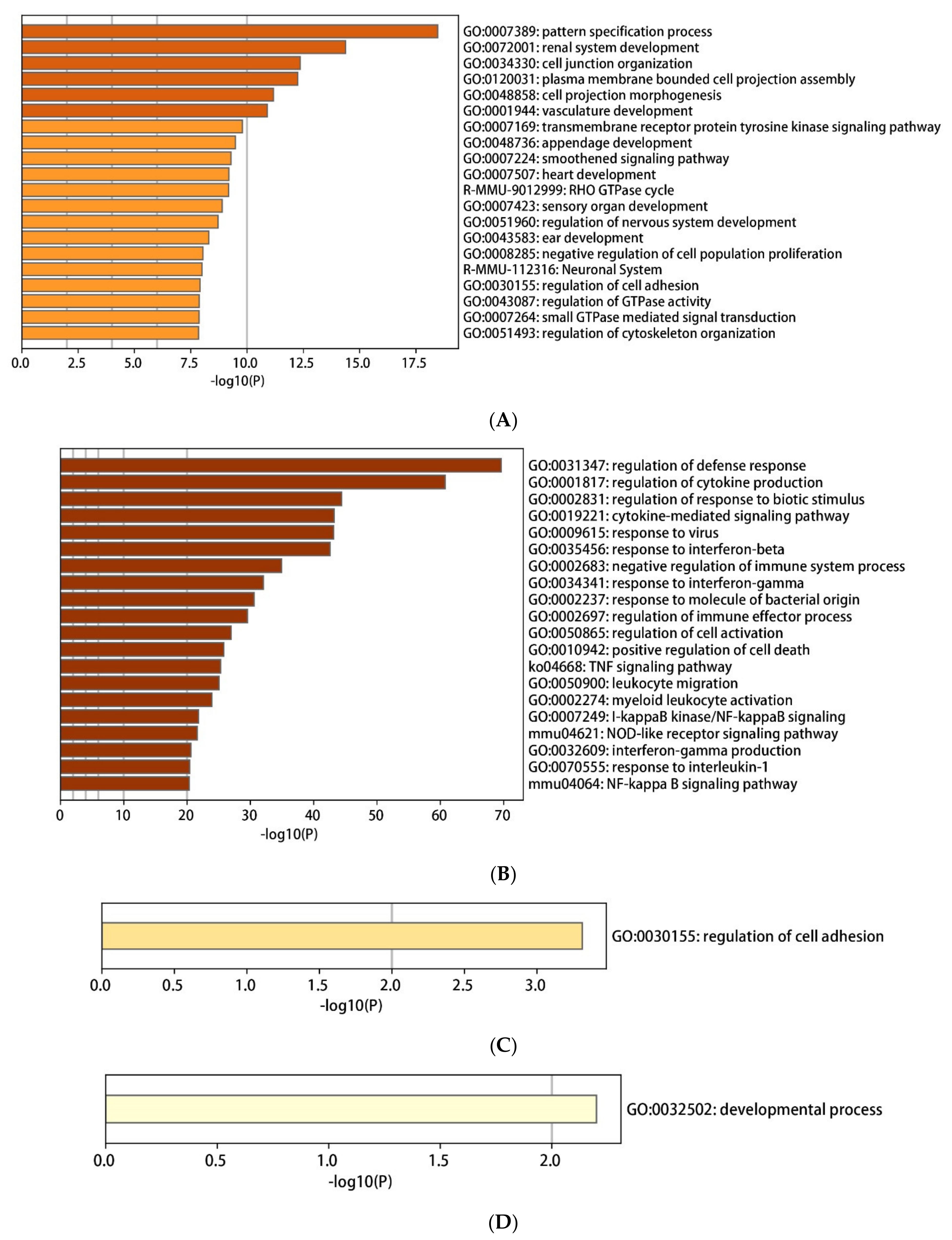 Ijms 22 13008 g005a 550