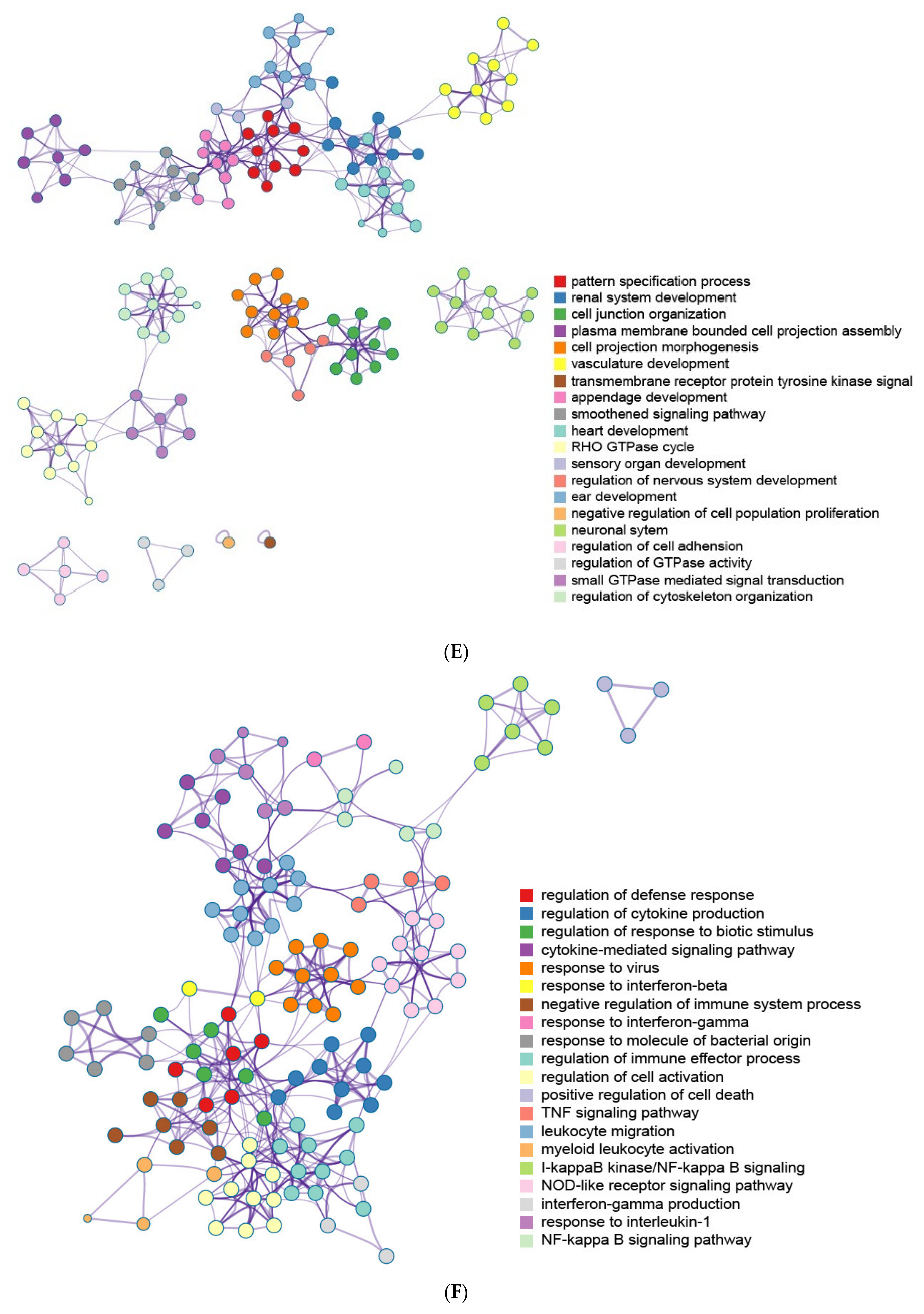 Ijms 22 13008 g005b 550