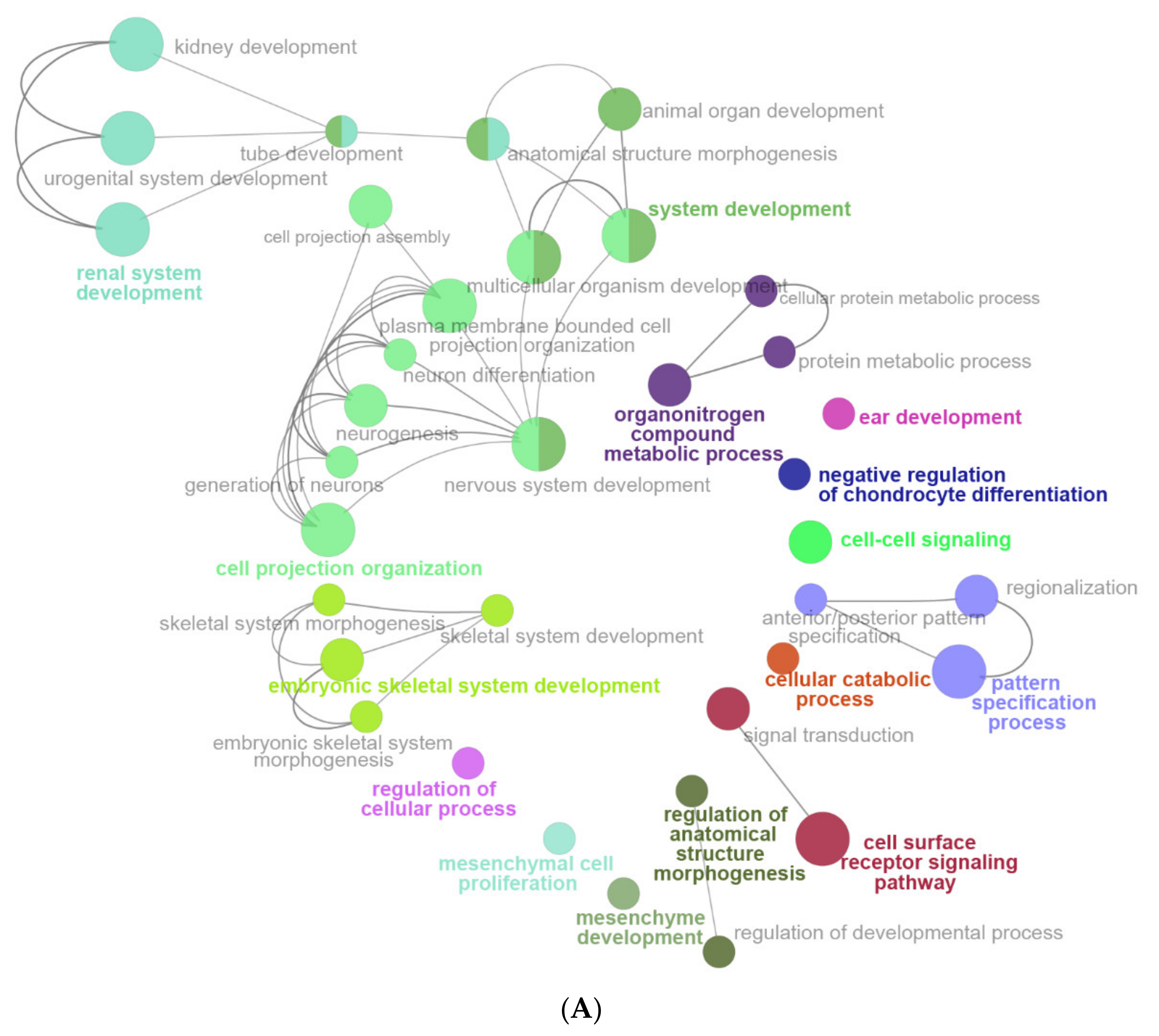 Ijms 22 13008 g007a 550