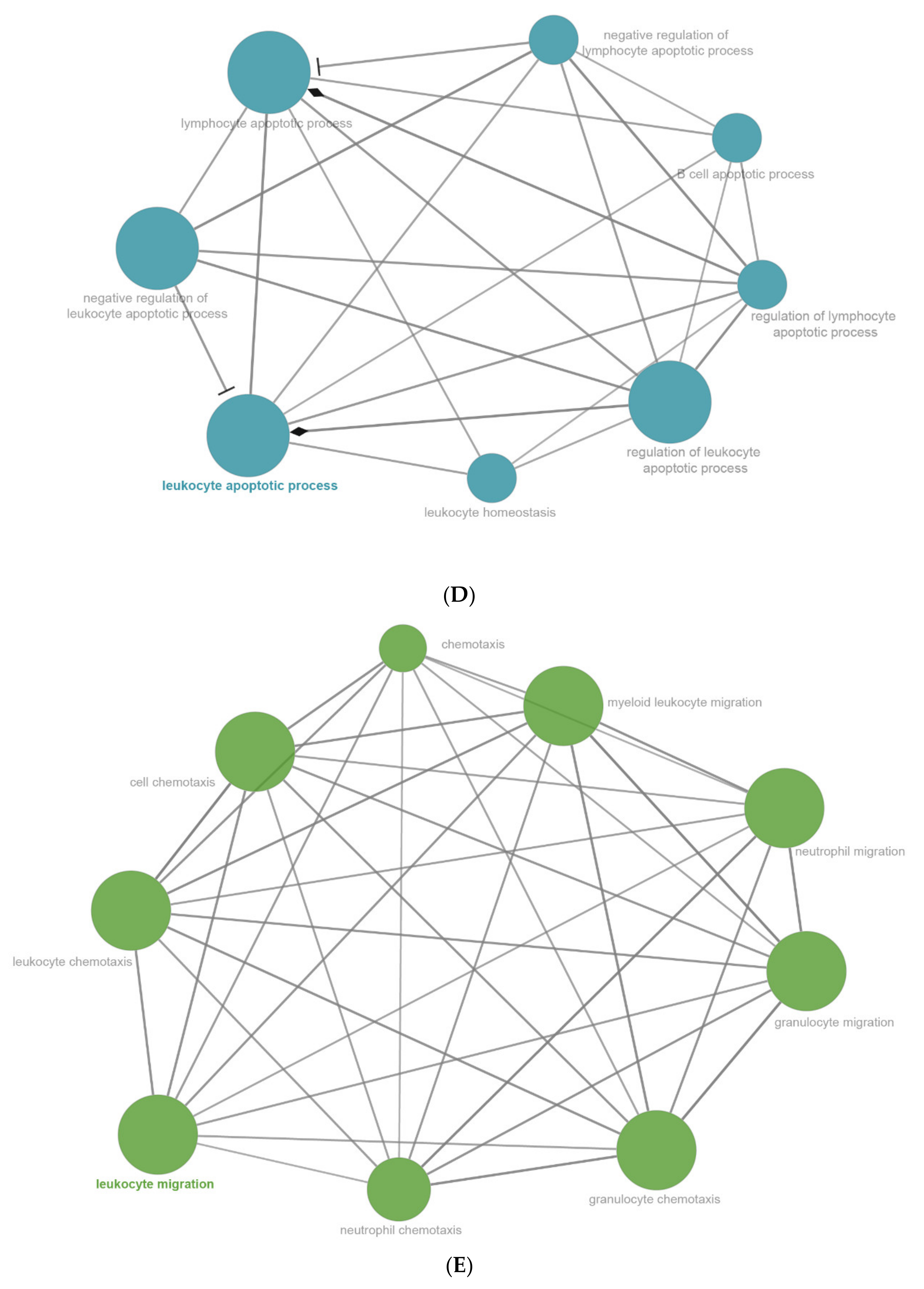 Ijms 22 13008 g007c 550