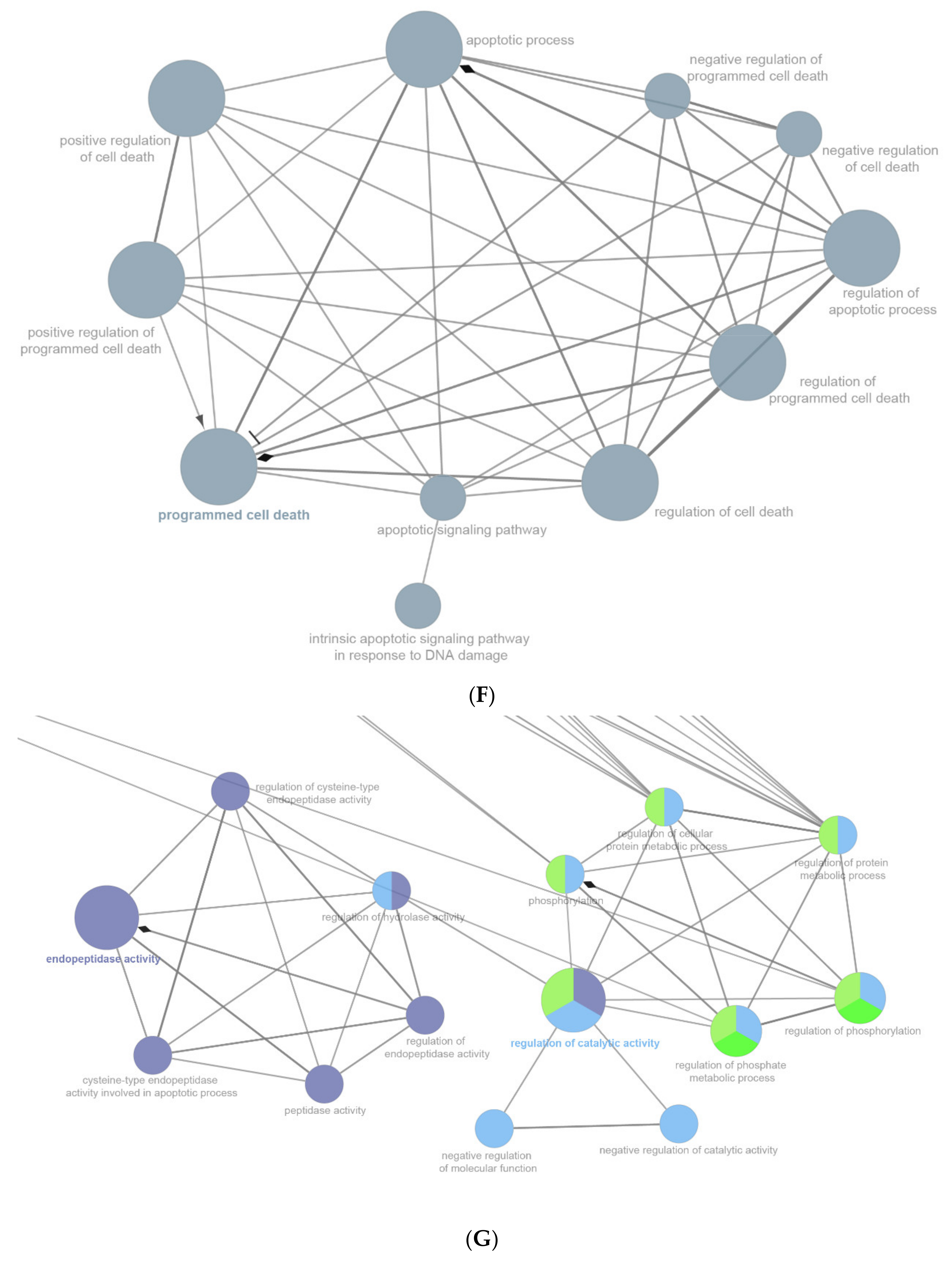 Ijms 22 13008 g007d 550