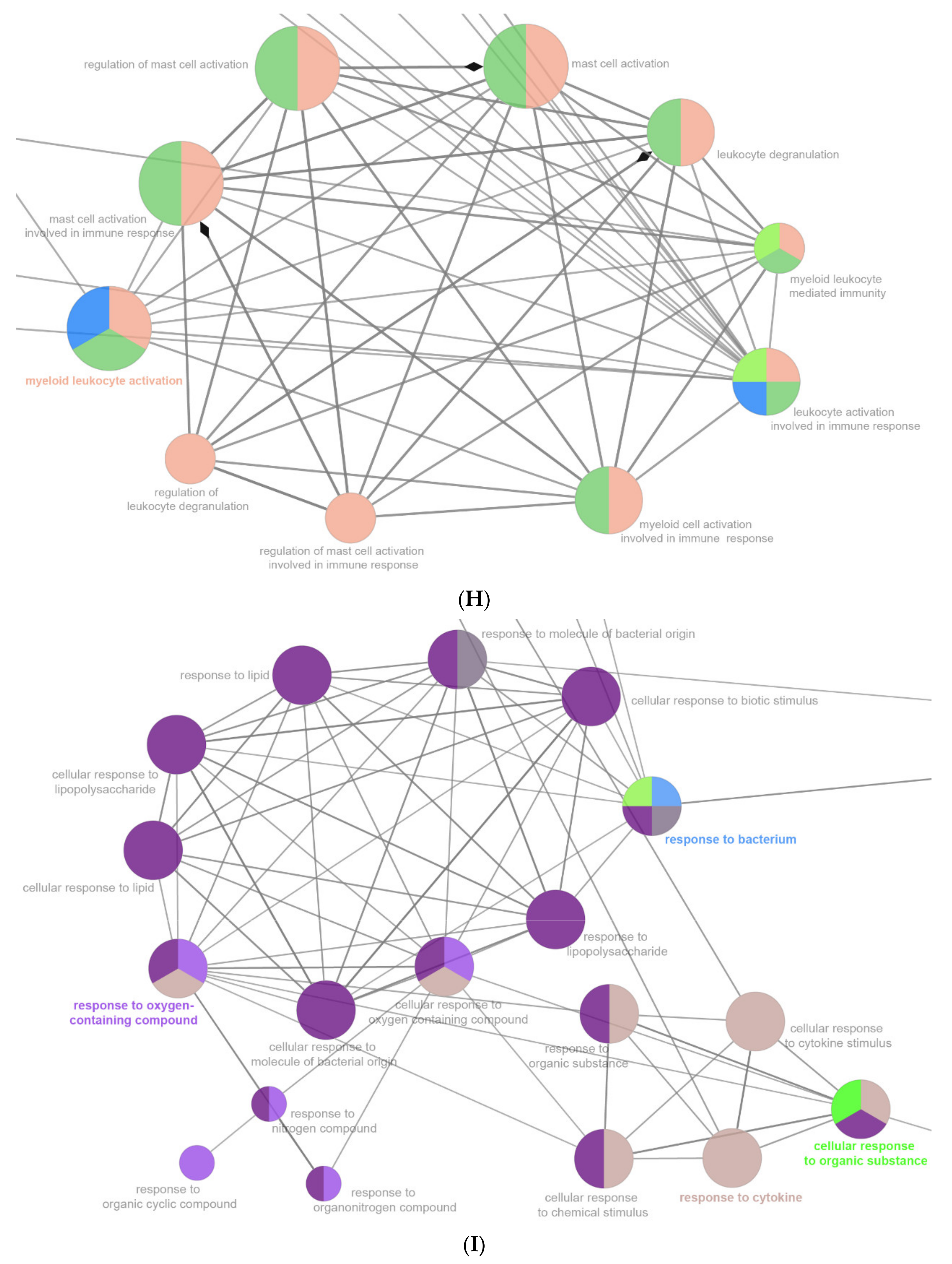 Ijms 22 13008 g007e 550