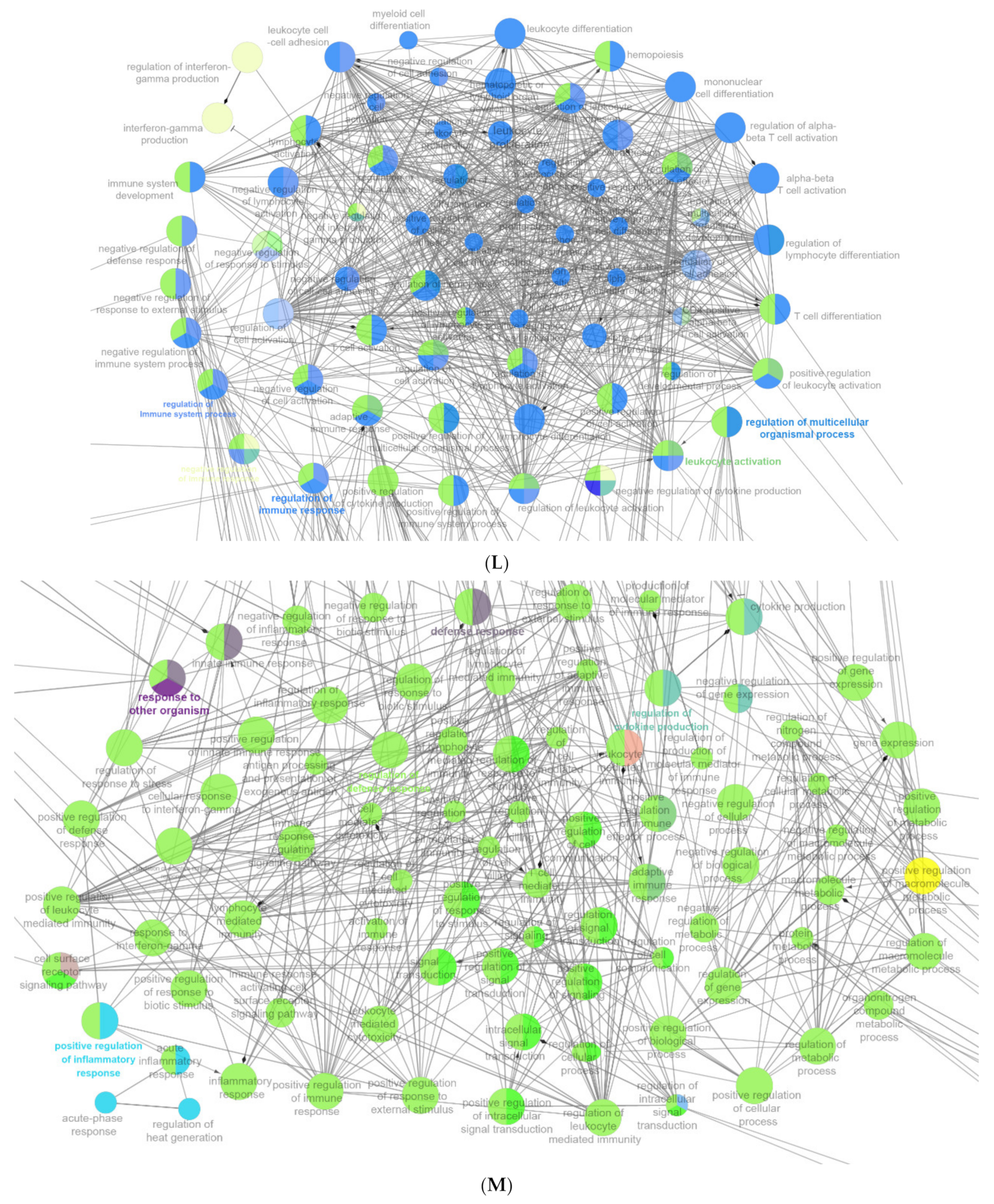 Ijms 22 13008 g007g 550