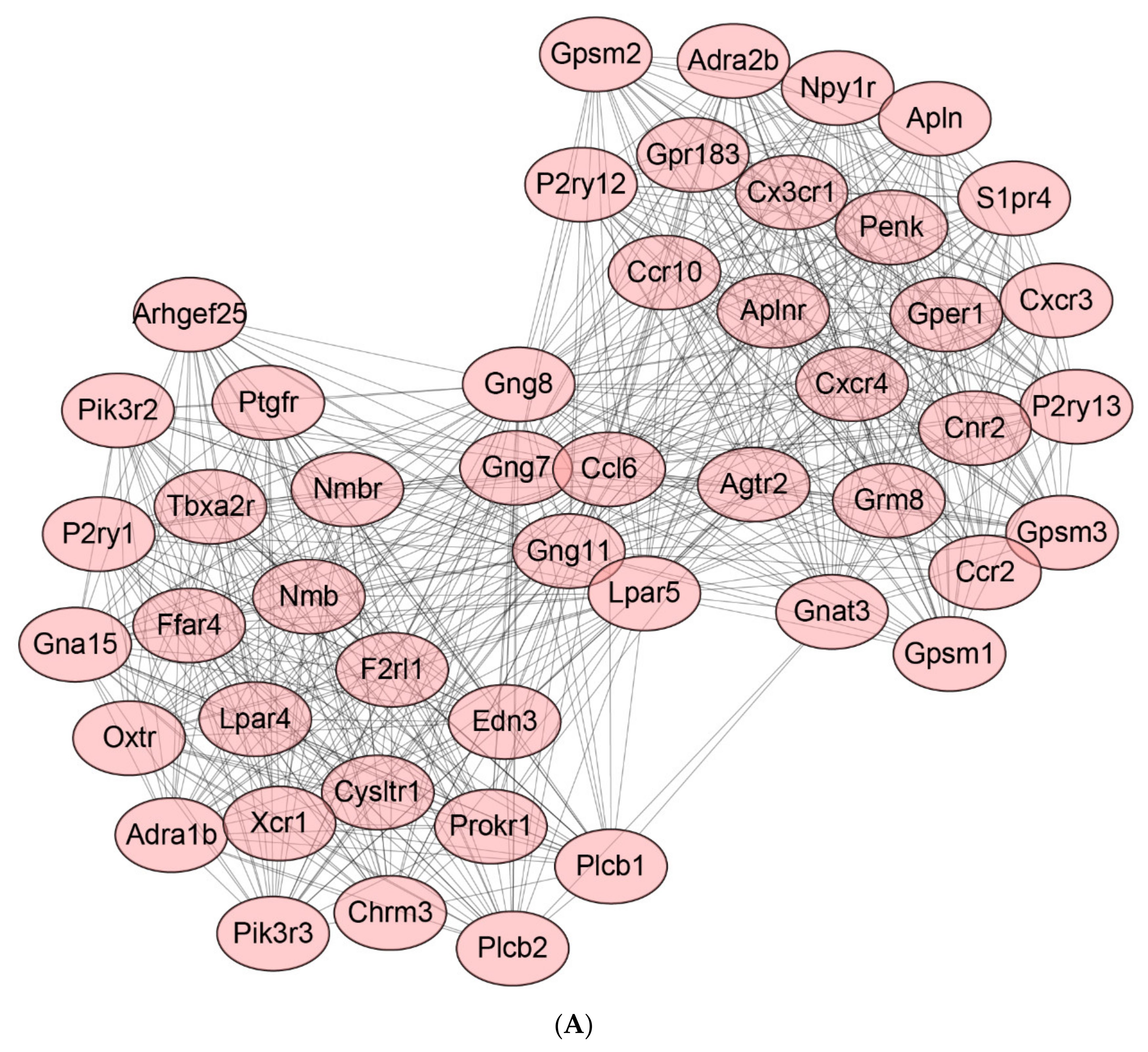 Ijms 22 13008 g009a 550