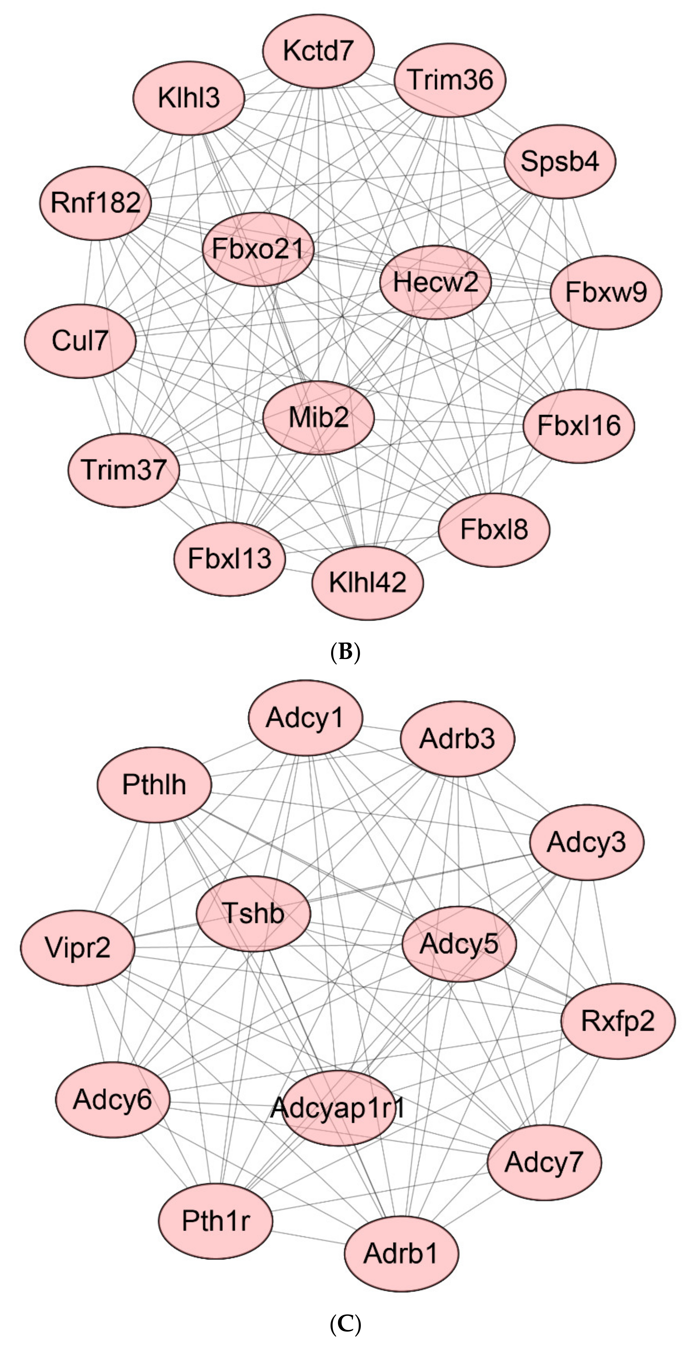 Ijms 22 13008 g009b 550