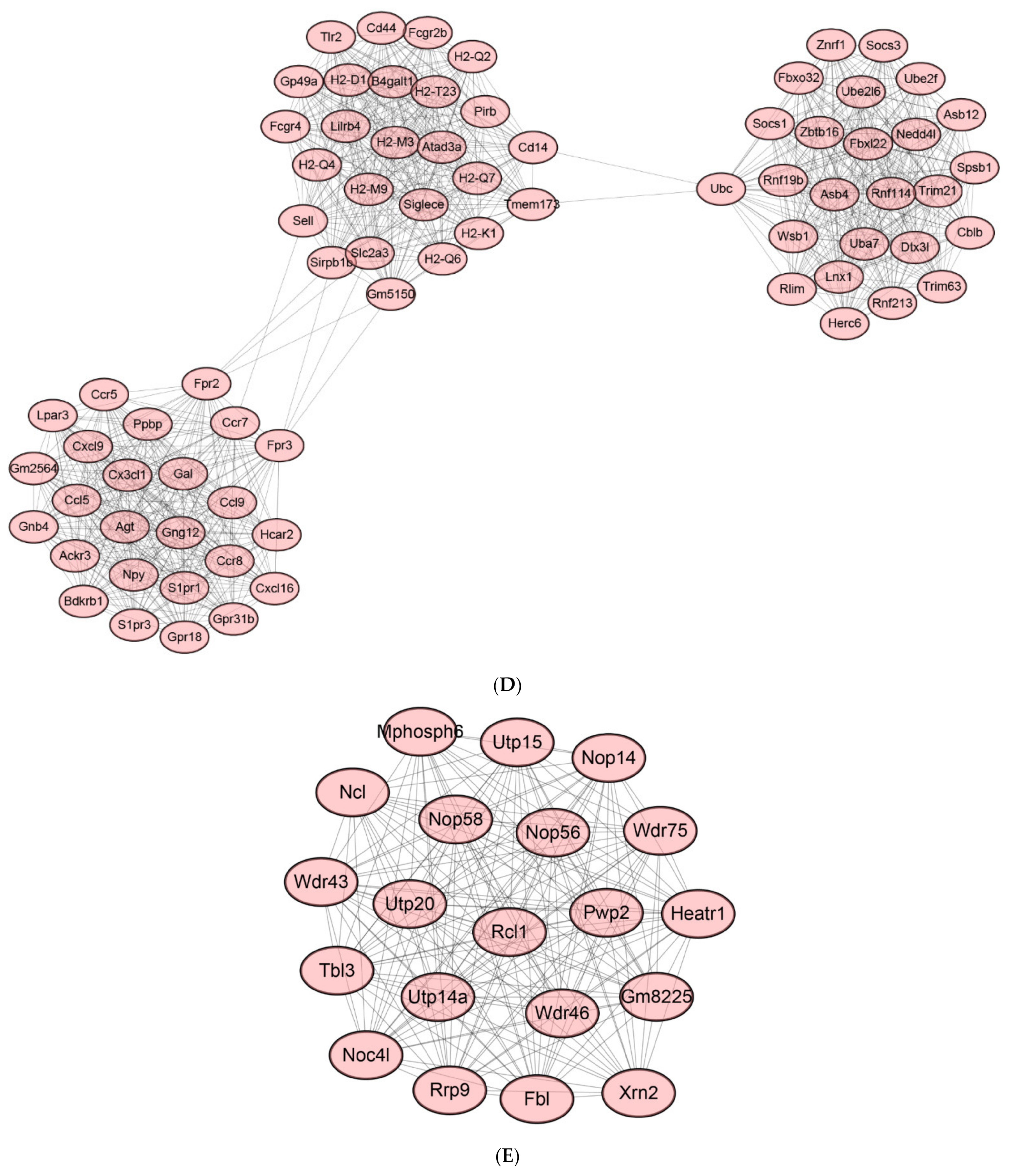 Ijms 22 13008 g009c 550