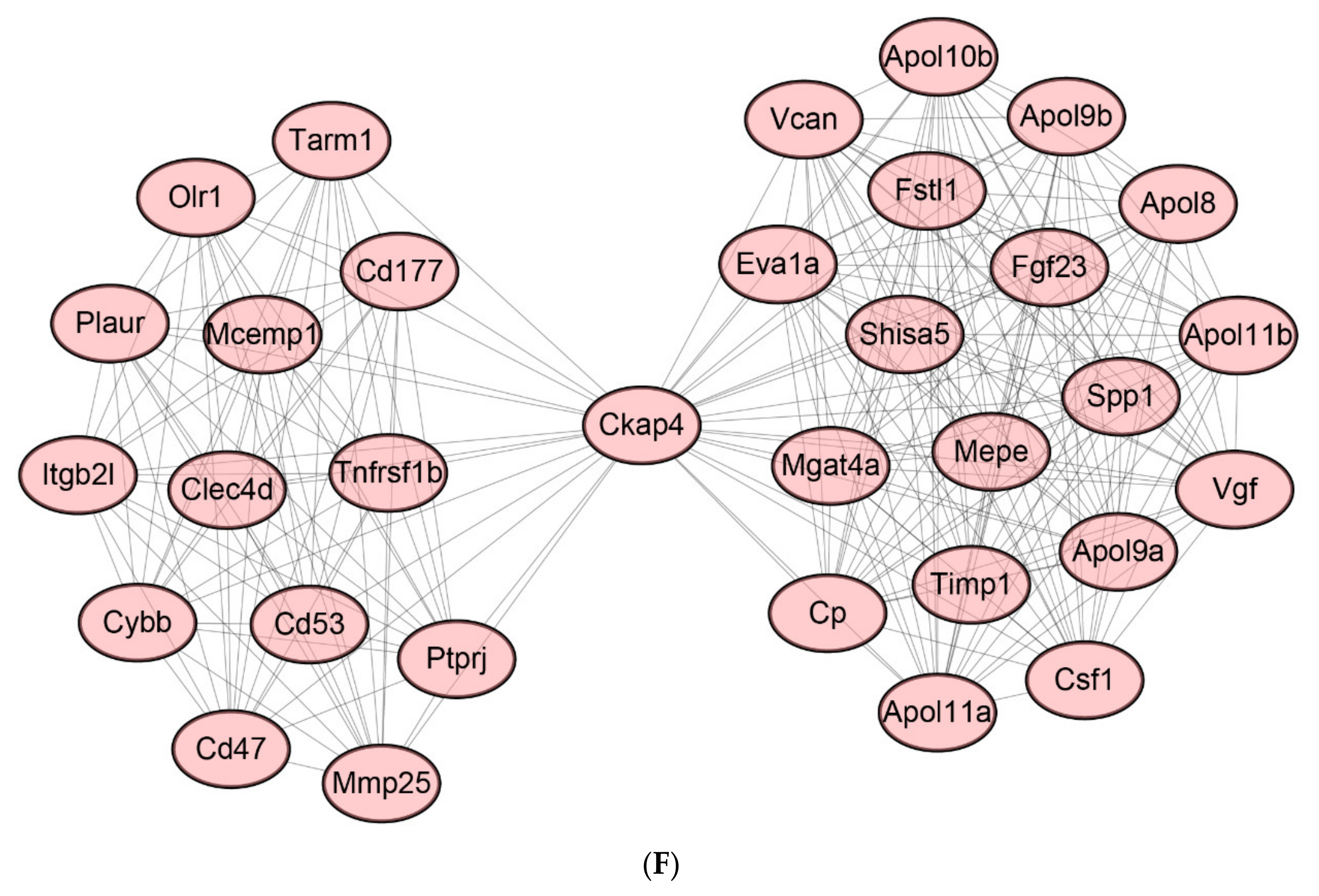 Ijms 22 13008 g009d 550