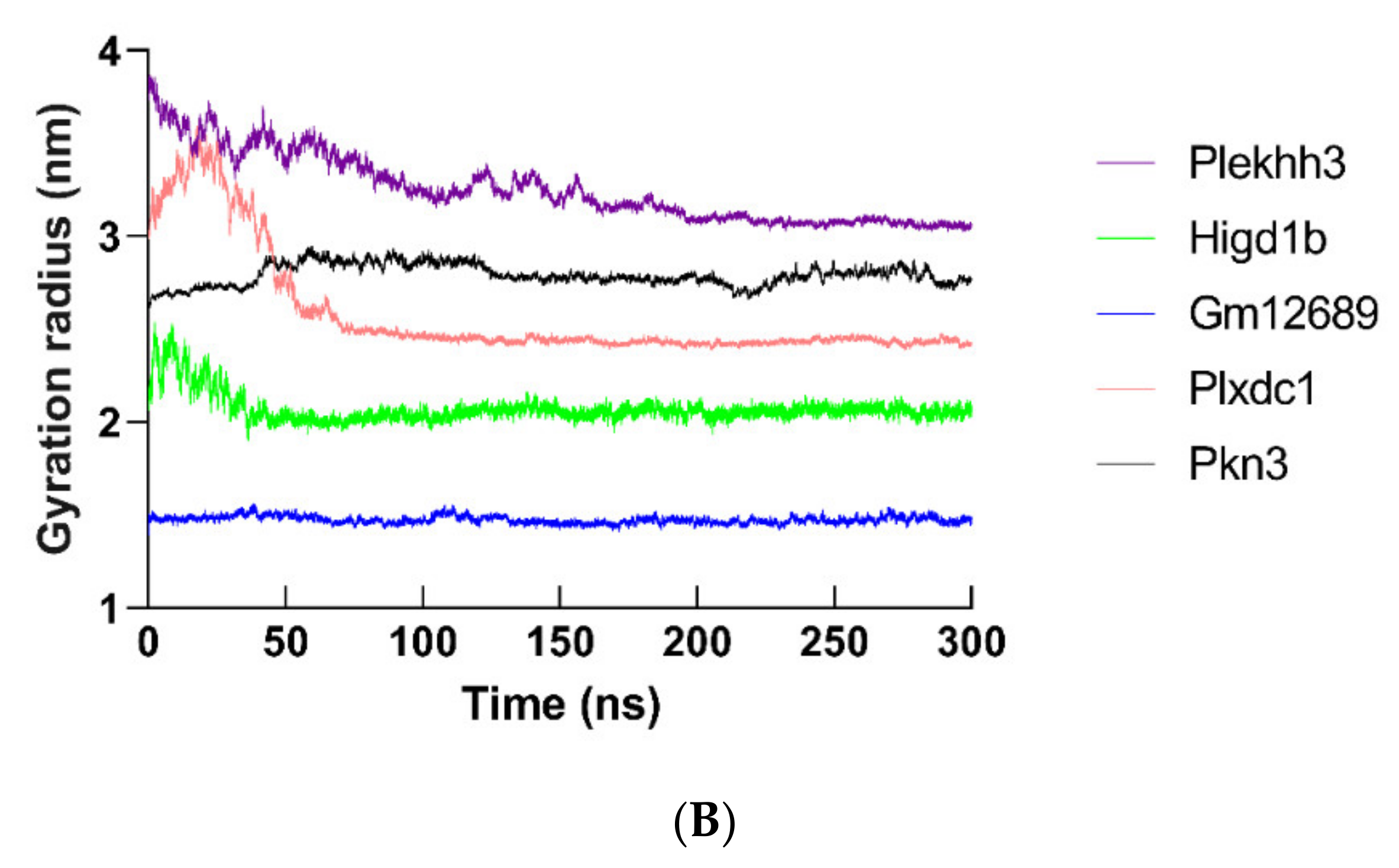 Ijms 22 13008 g014b 550