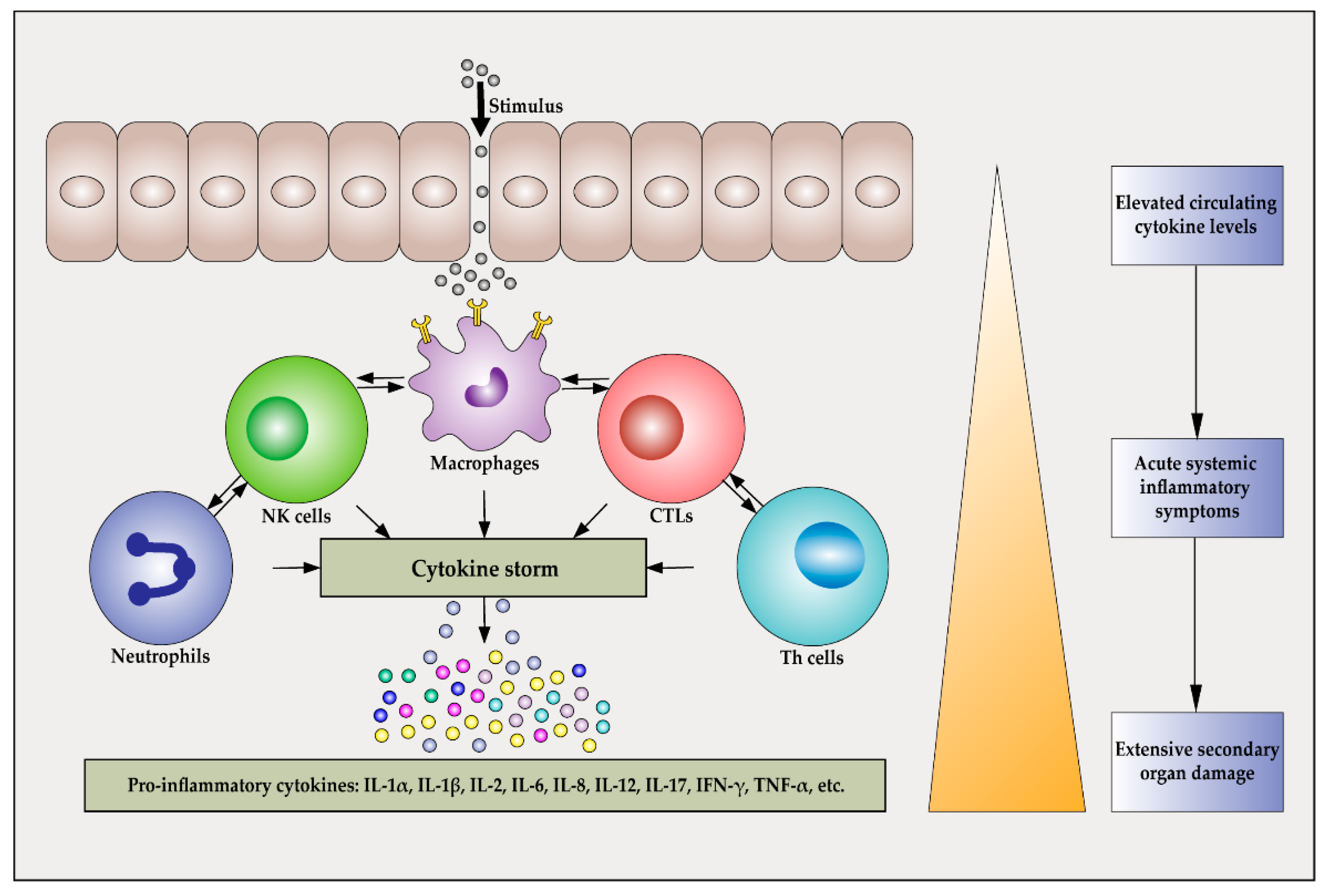 Calming the cytokine storm: Harnessing the power of stem cells to