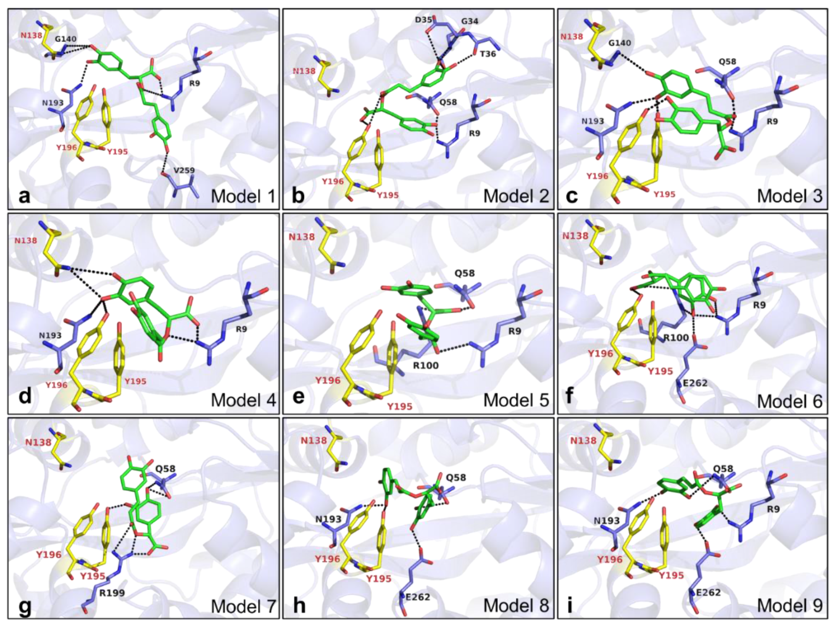 Ijms 22 13010 g007 550
