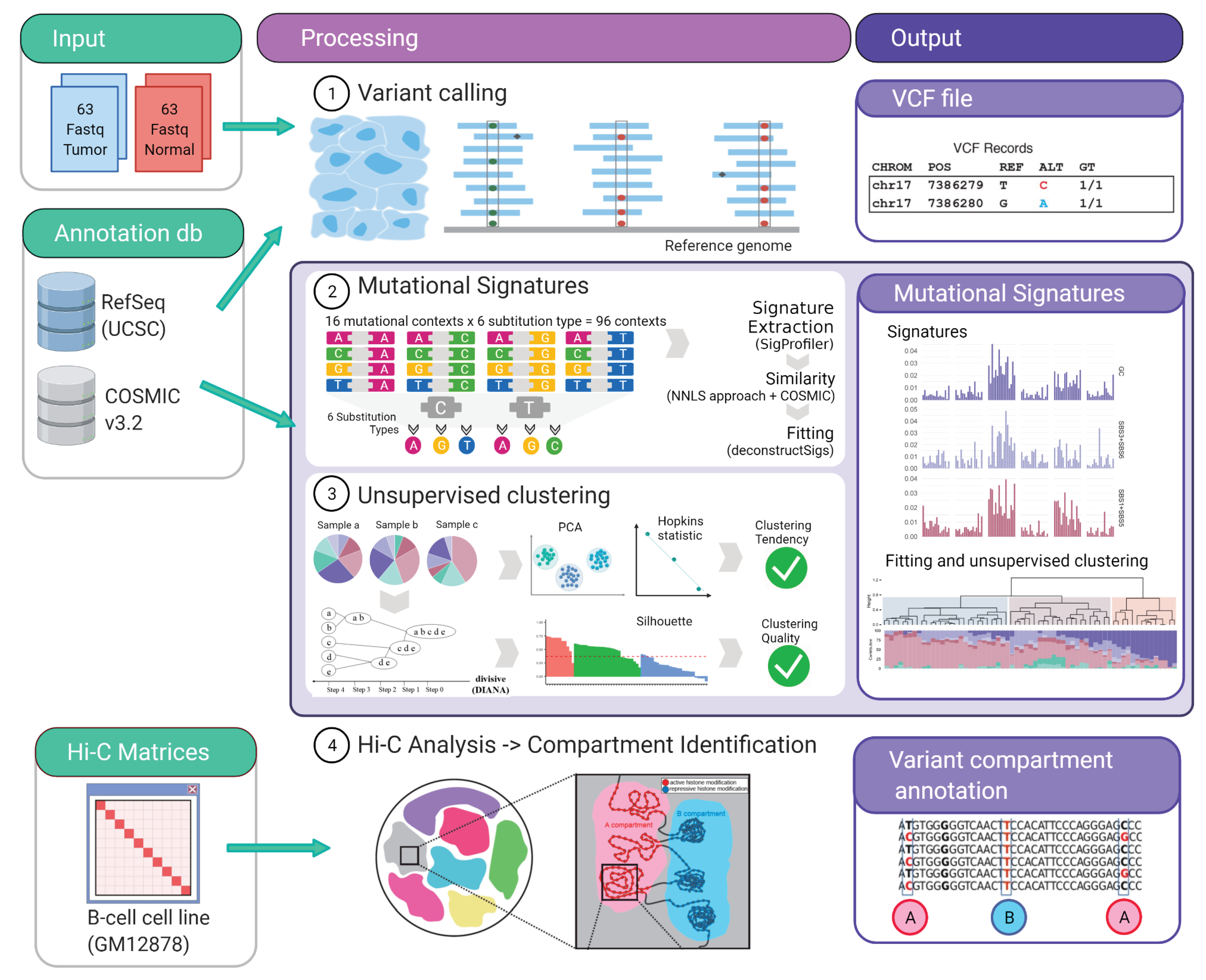 Ijms 22 13015 g001 Ijms 22 13015 g001