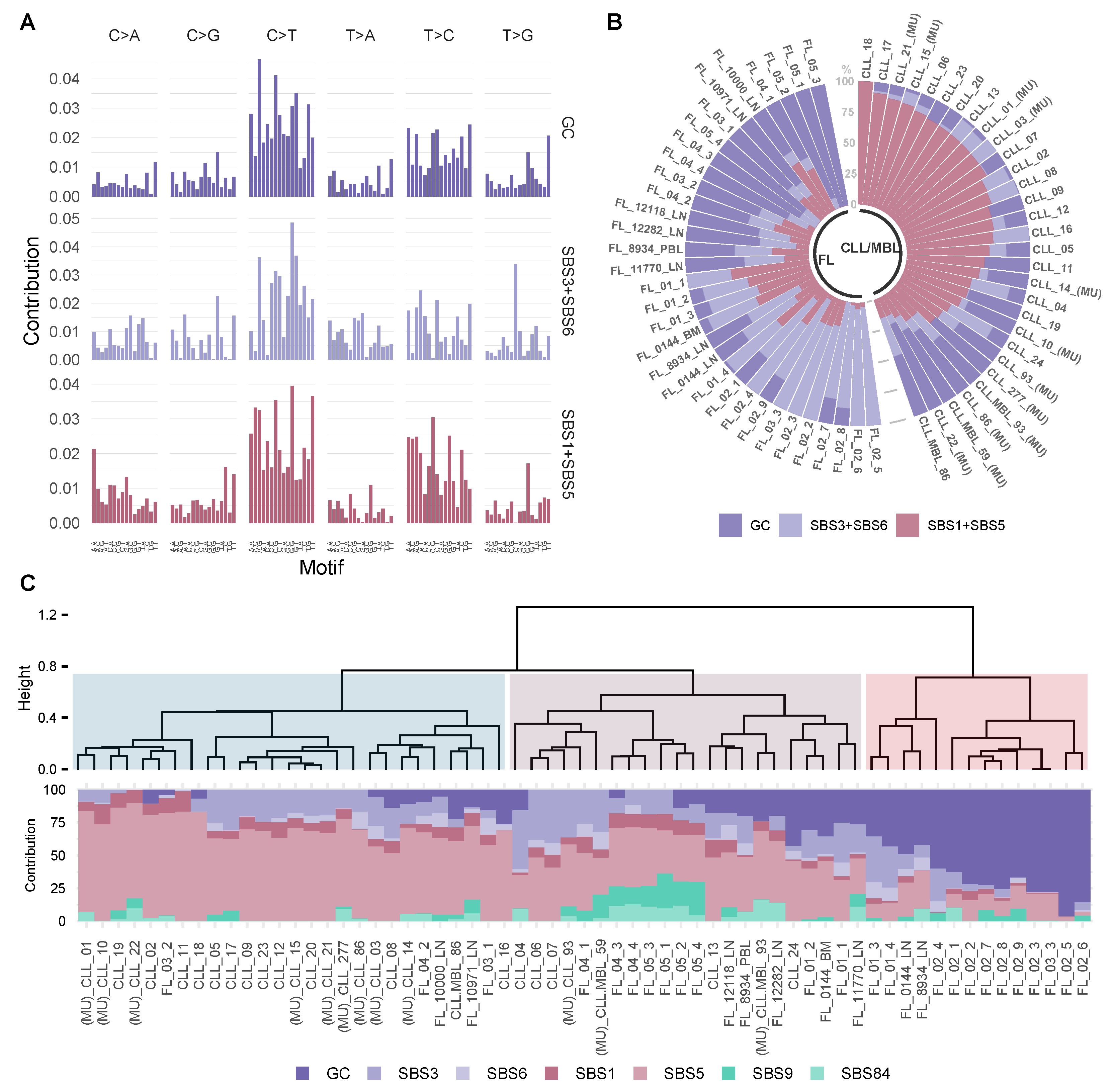 Ijms 22 13015 g004 Ijms 22 13015 g004