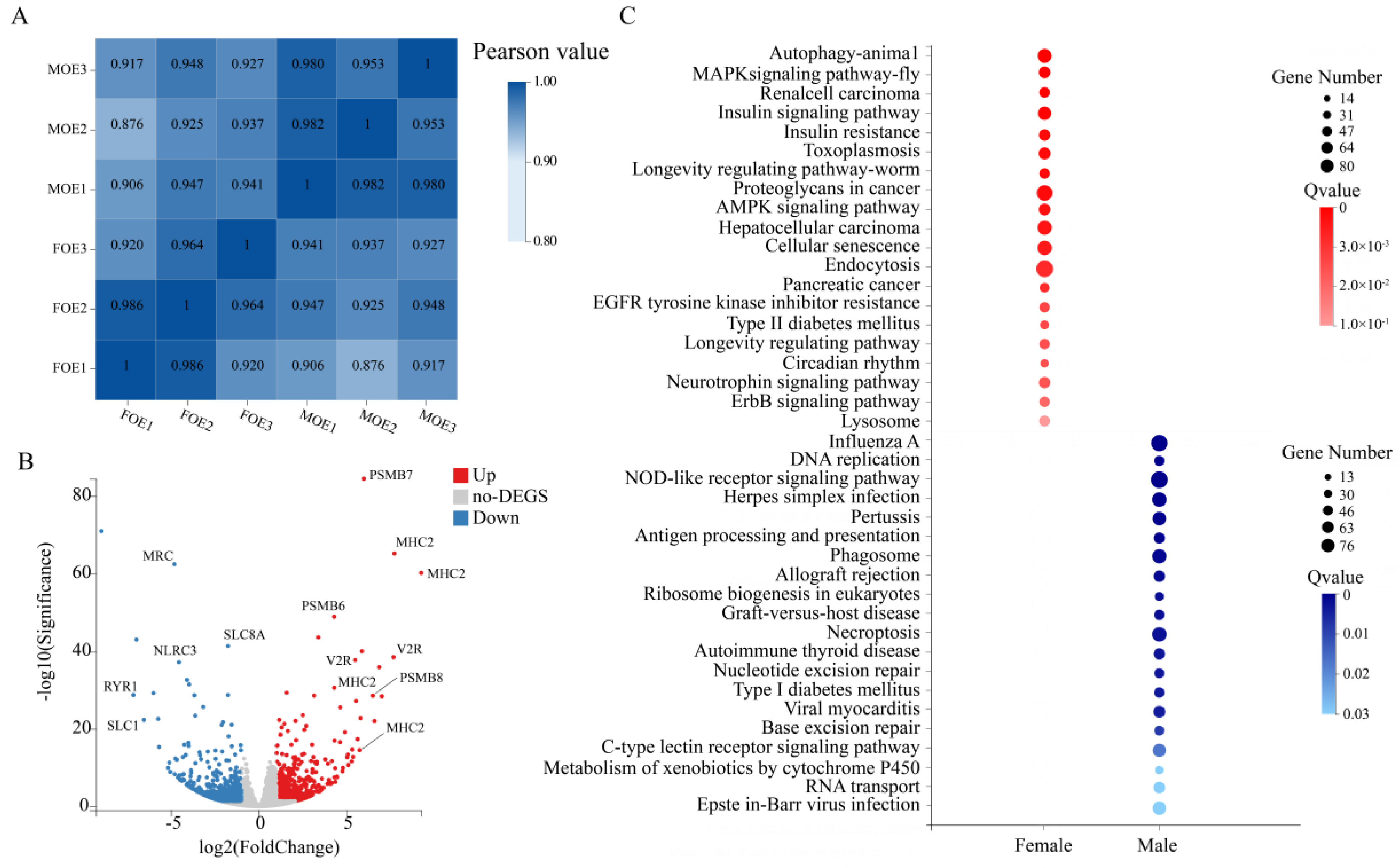 Ijms 22 13017 g003 Ijms 22 13017 g003
