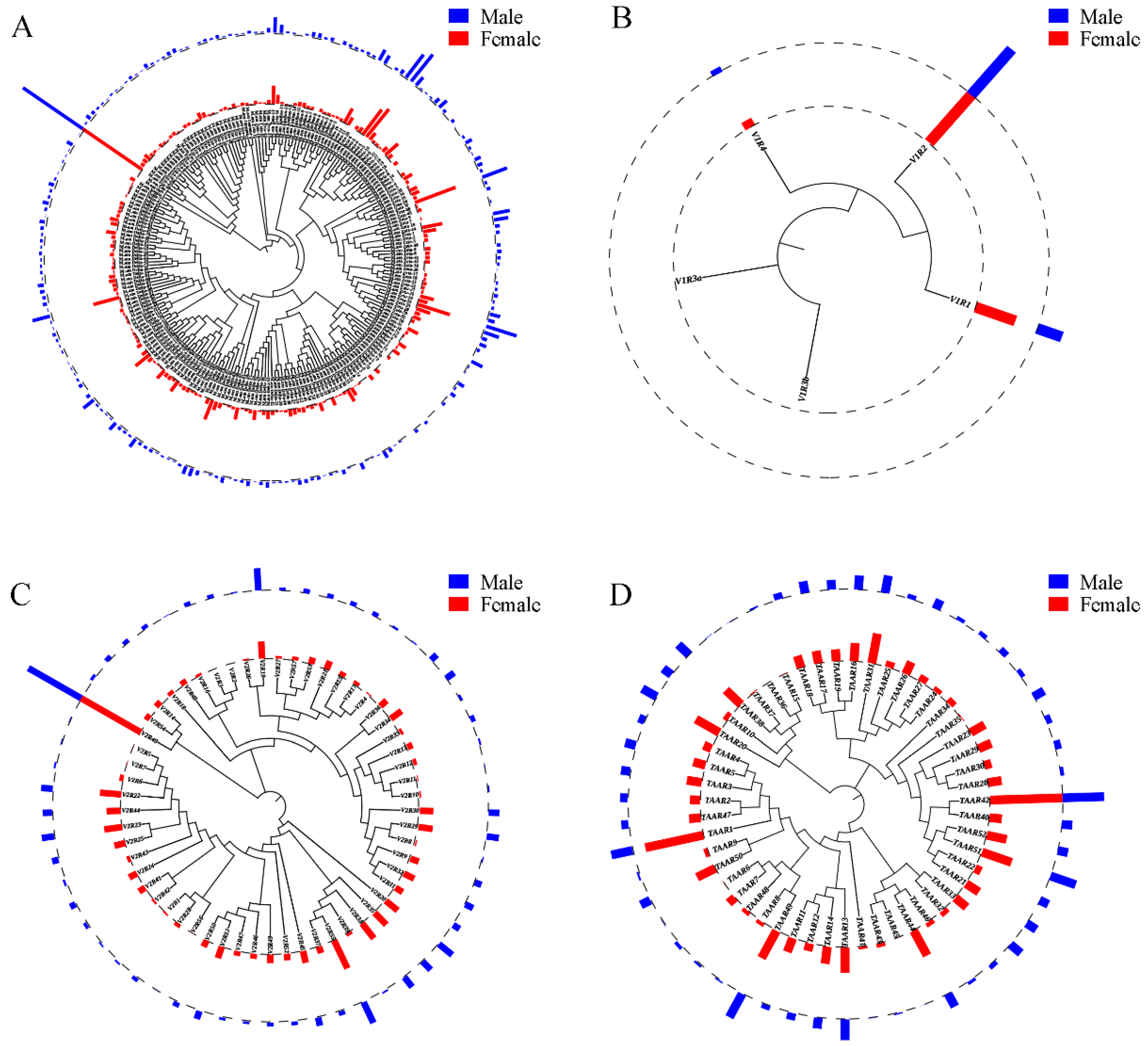 Ijms 22 13017 g004 Ijms 22 13017 g004