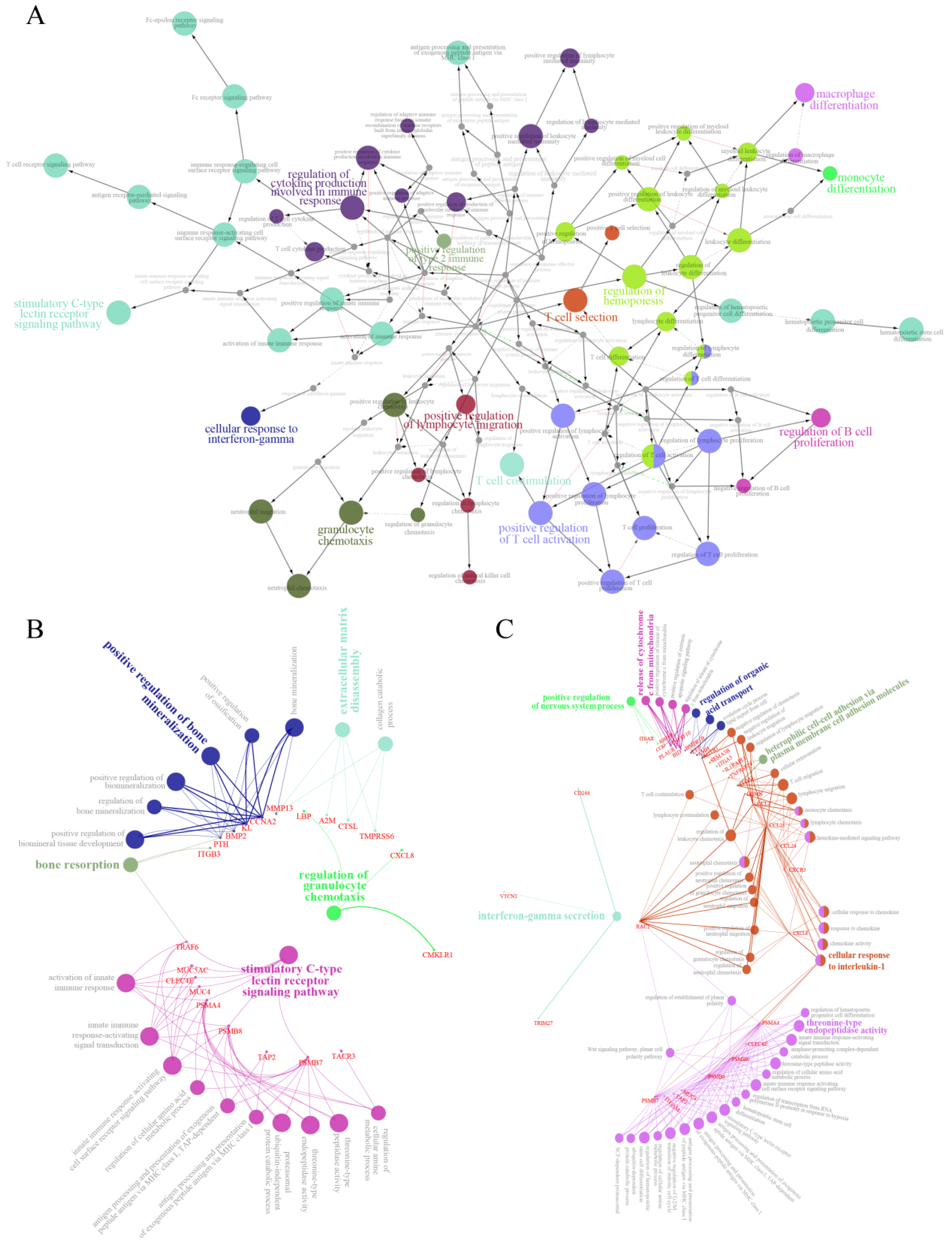 Ijms 22 13017 g005 Ijms 22 13017 g005