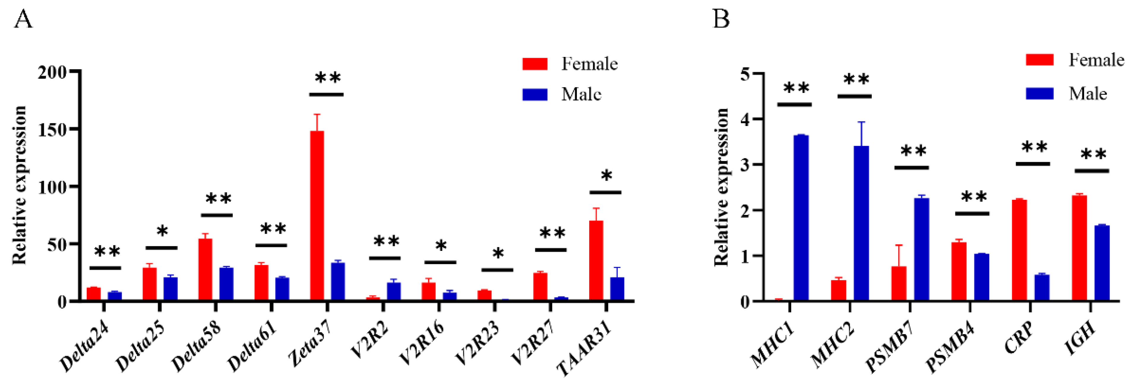 Ijms 22 13017 g007 Ijms 22 13017 g007