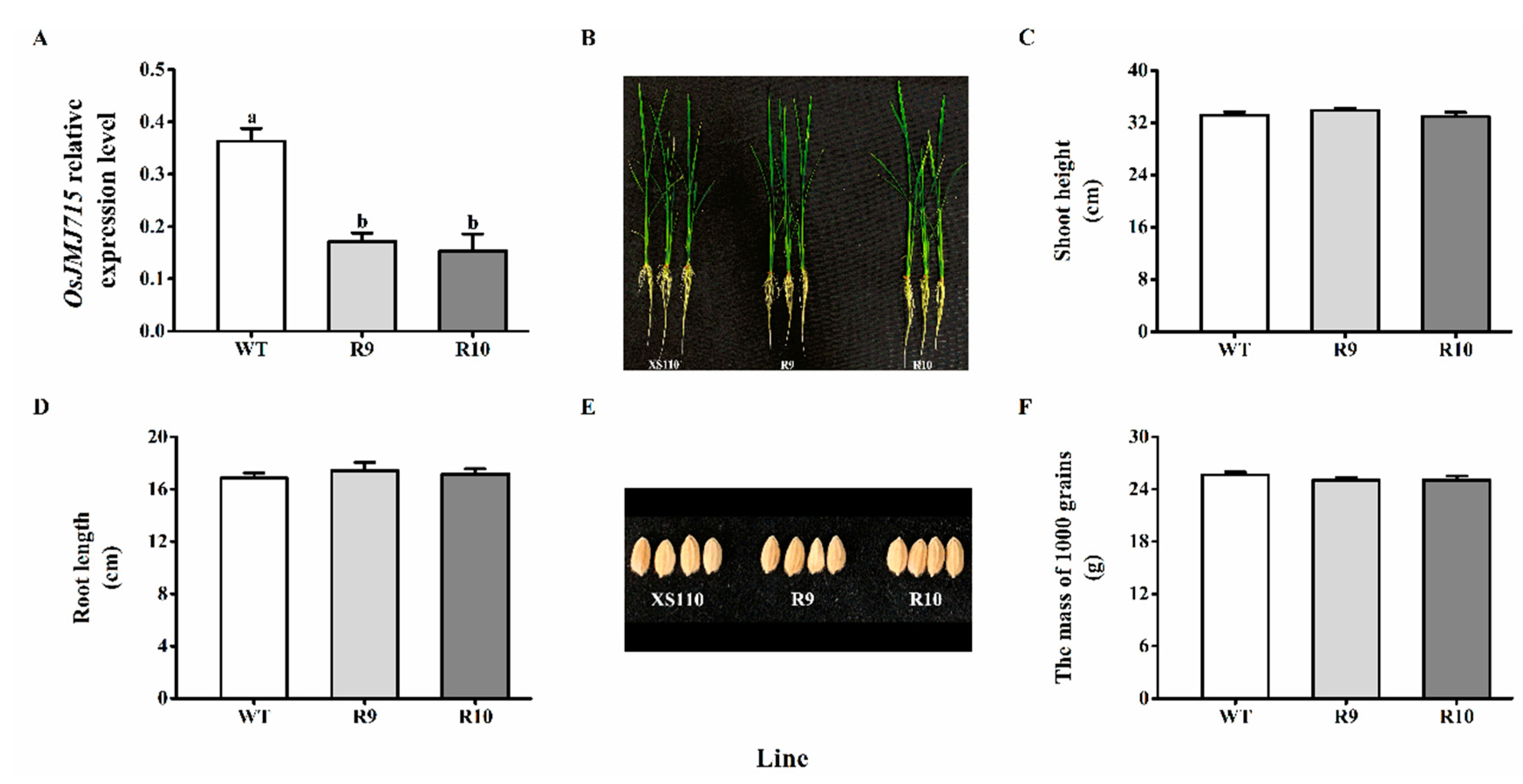 Ijms 22 13020 g003 550