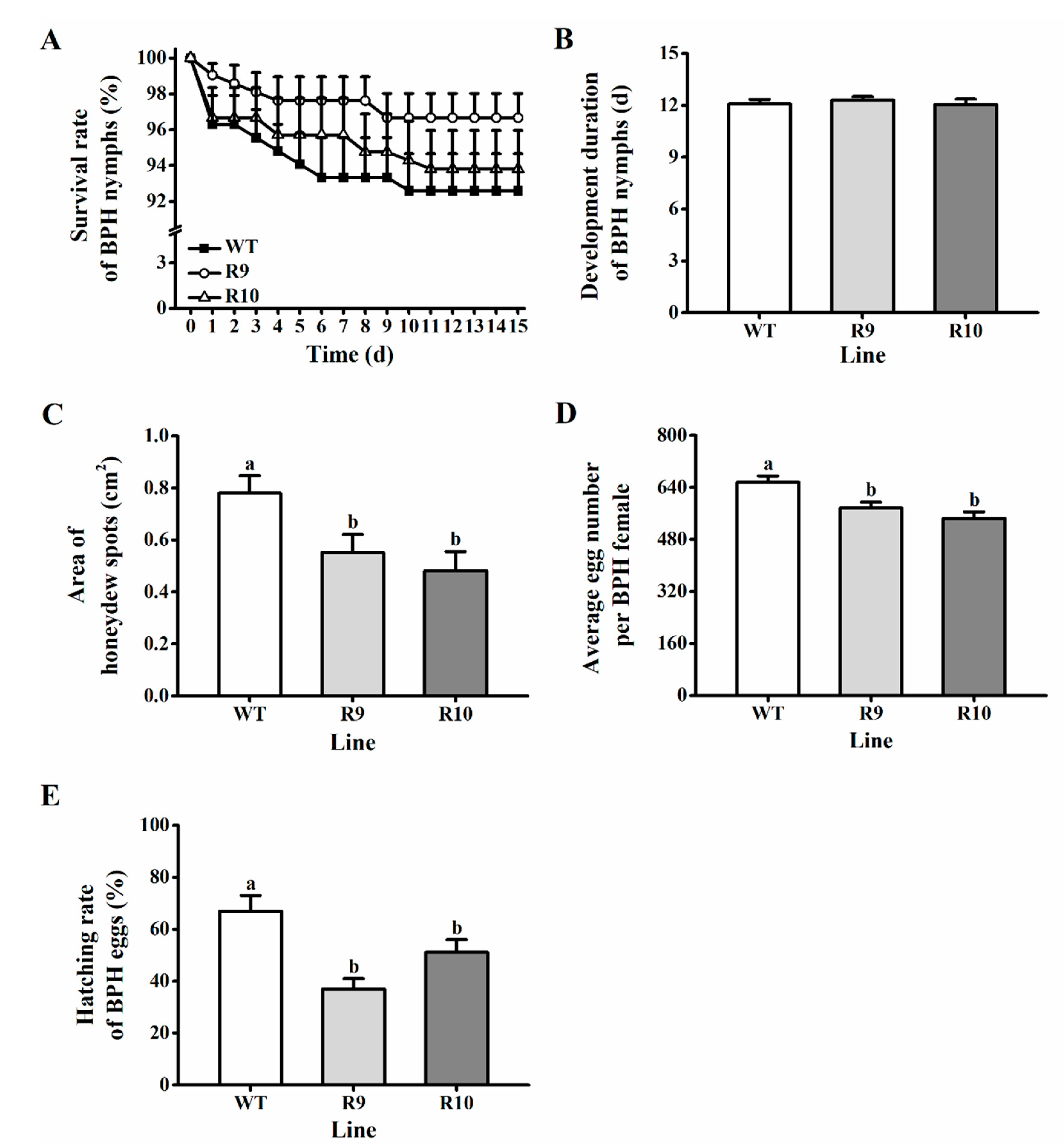 Ijms 22 13020 g004 550