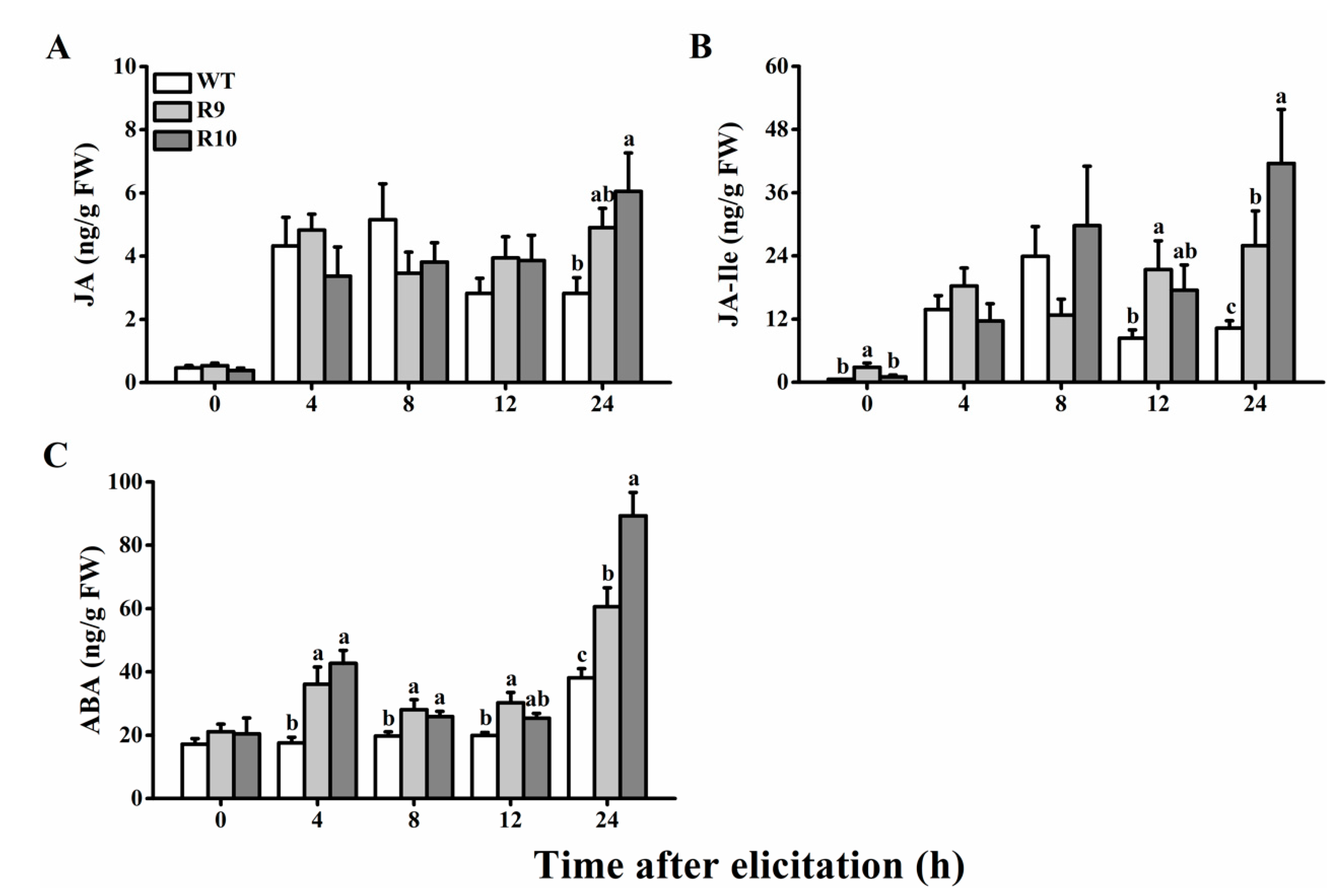 Ijms 22 13020 g005 550