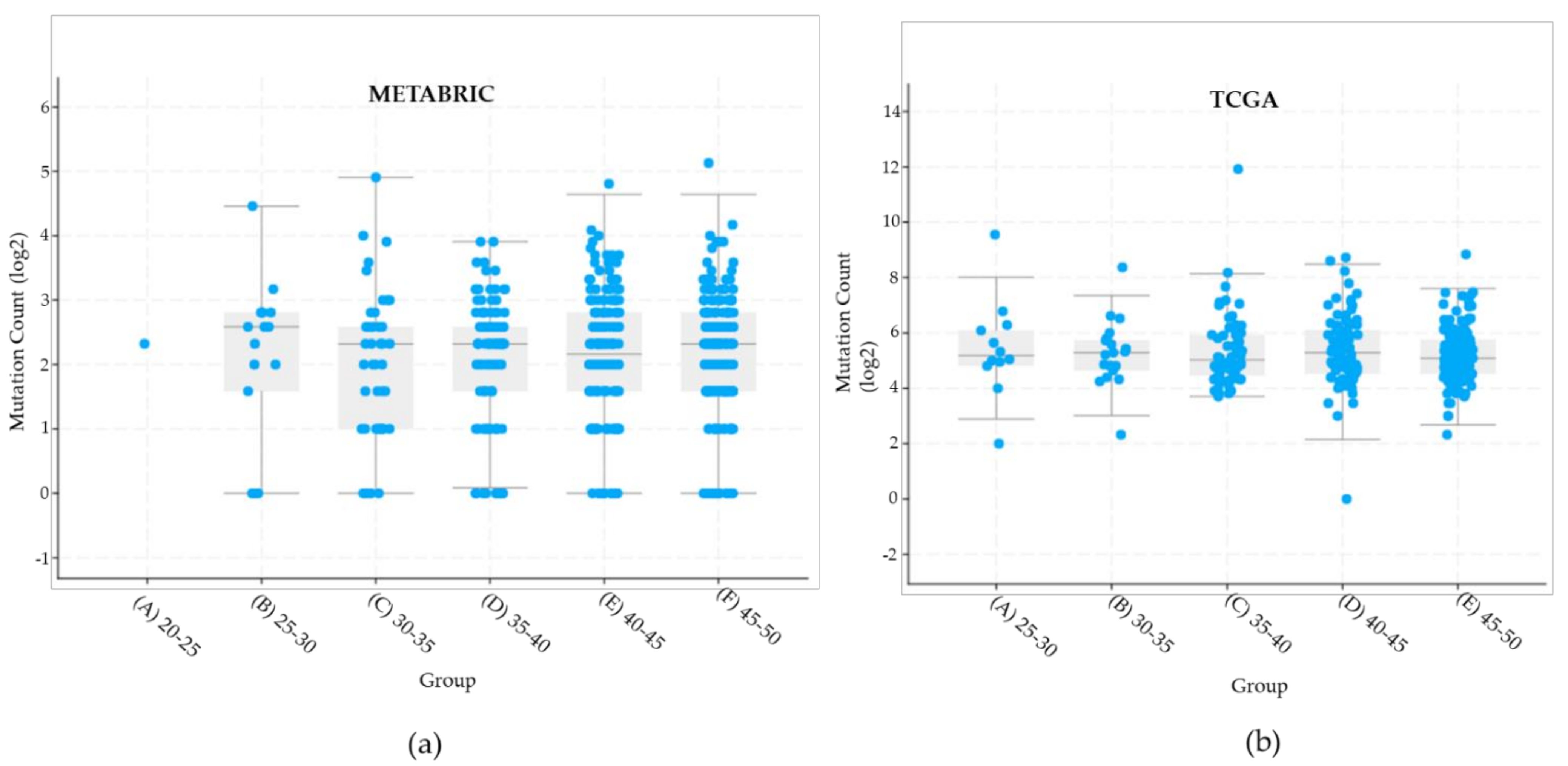 Ijms 22 13030 g004 Ijms 22 13030 g004