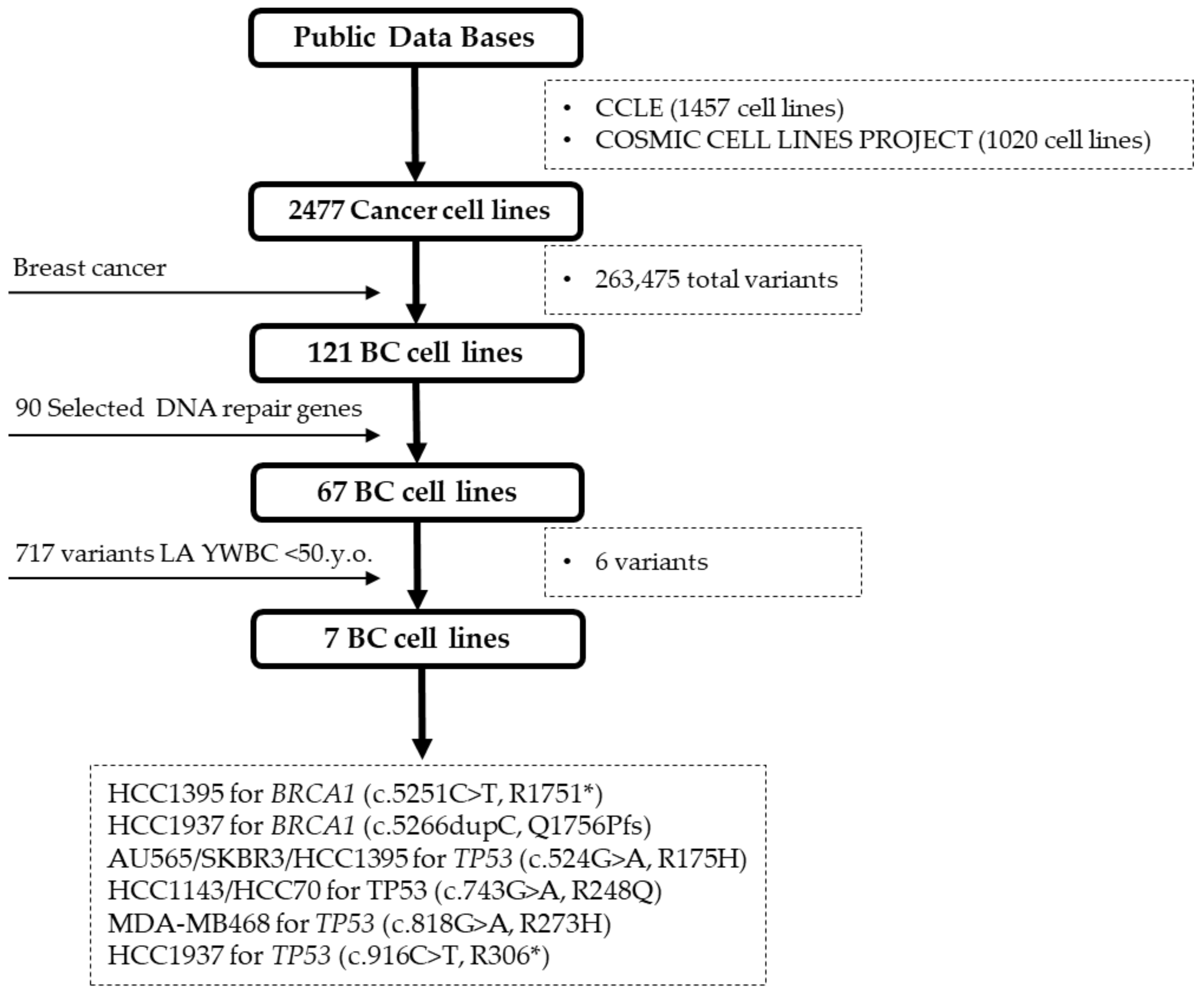 Ijms 22 13030 g005 Ijms 22 13030 g005