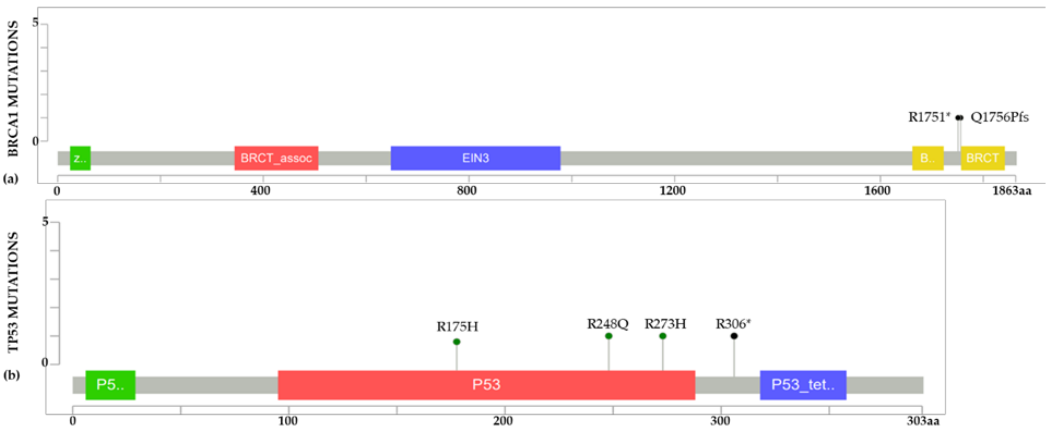 Ijms 22 13030 g006 Ijms 22 13030 g006